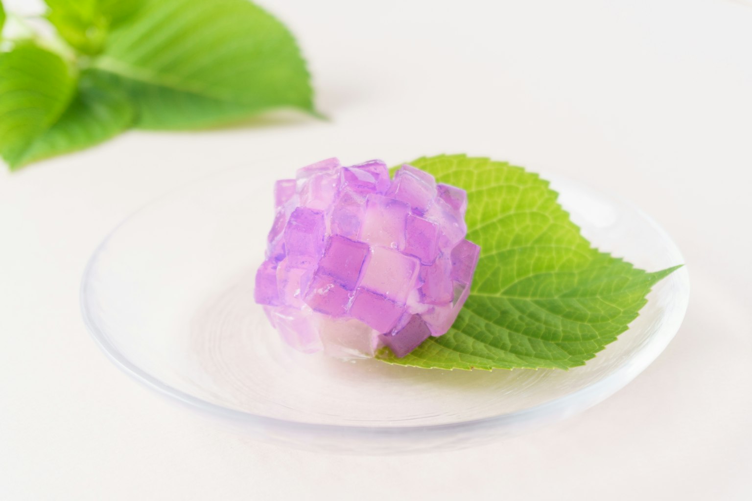 Dessert en gelée violet posé sur une feuille verte