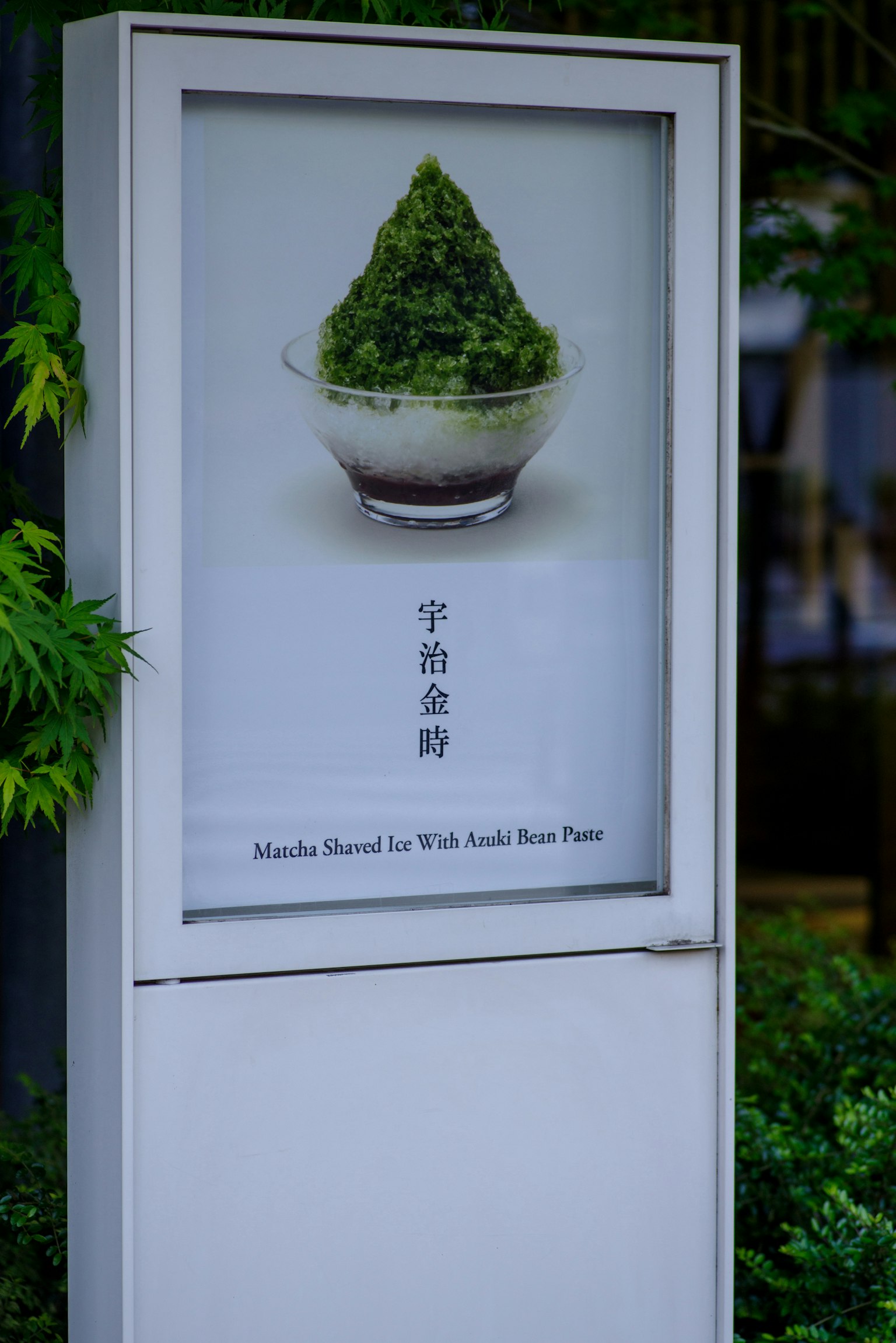 Insegna con ghiaccio tritato al matcha in una ciotola circondata da vegetazione