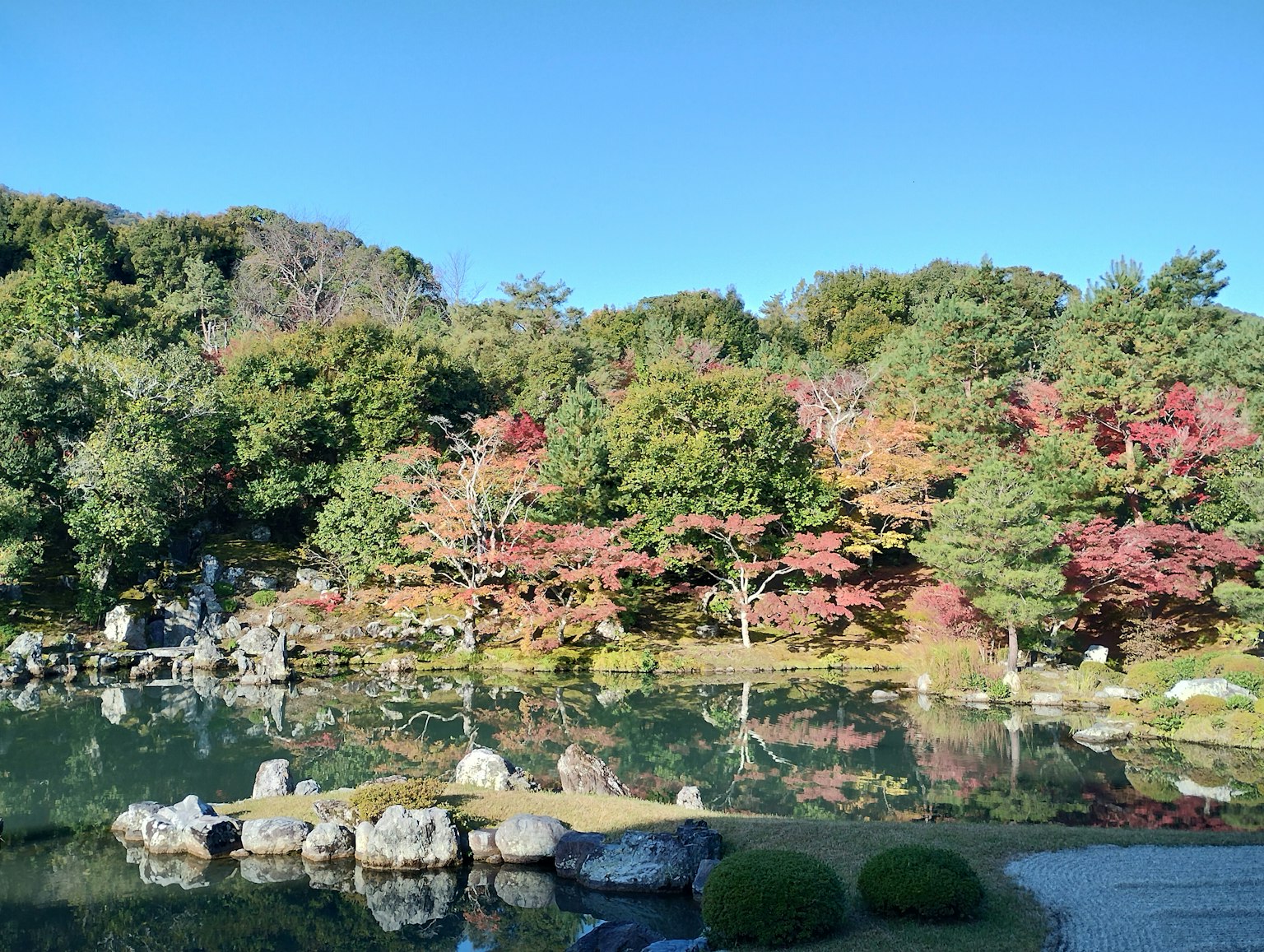Pemandangan taman Jepang yang indah dengan pohon-pohon berwarna-warni yang terpantul di kolam