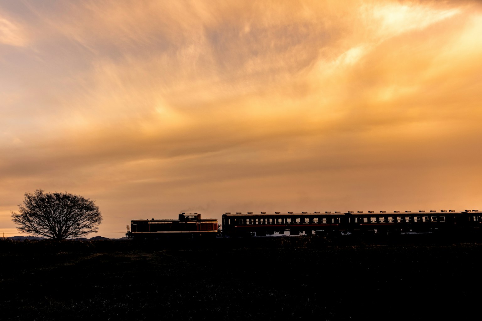 Silhouette di un treno e di un albero sotto un cielo al tramonto