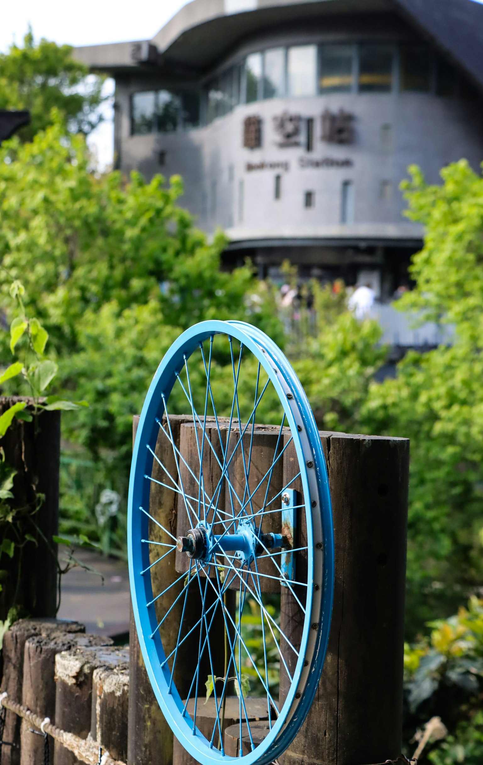 Rueda de bicicleta azul con árboles verdes y un edificio moderno al fondo