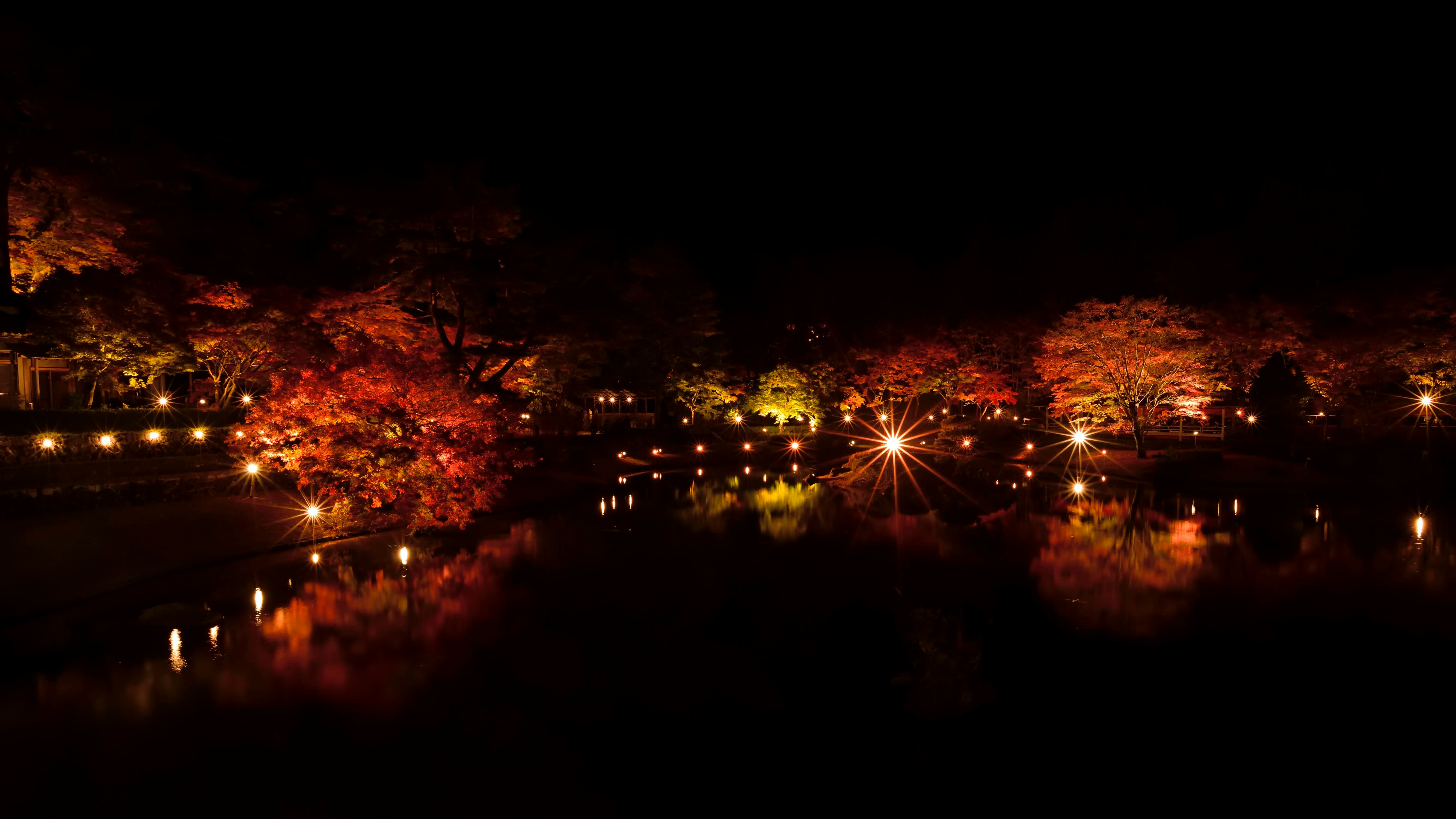 夜の庭園に灯る光と池の反射