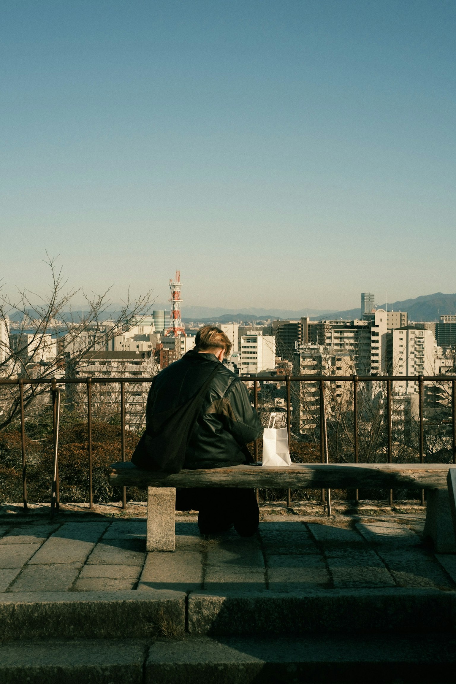 A person sitting on a bench overlooking a city skyline