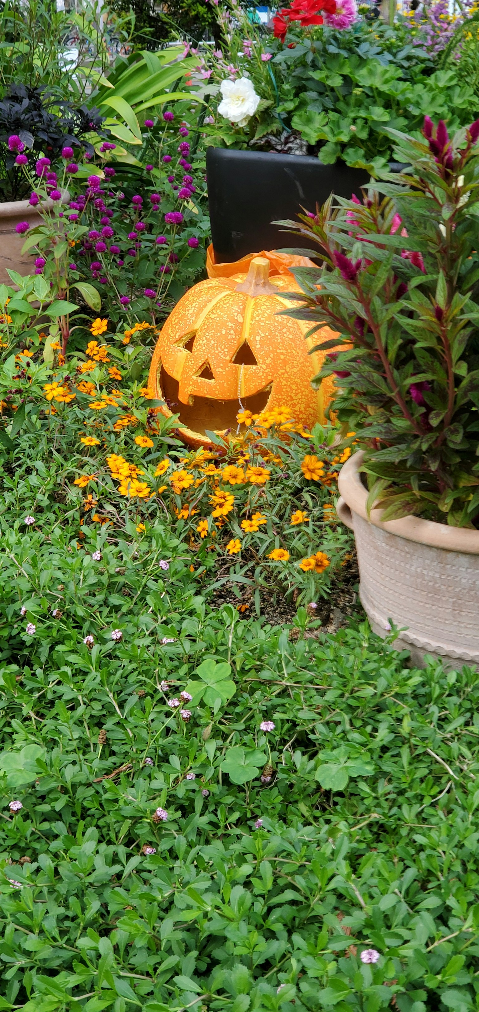 Una zucca jack-o'-lantern arancione affiorante tra fiori e verde