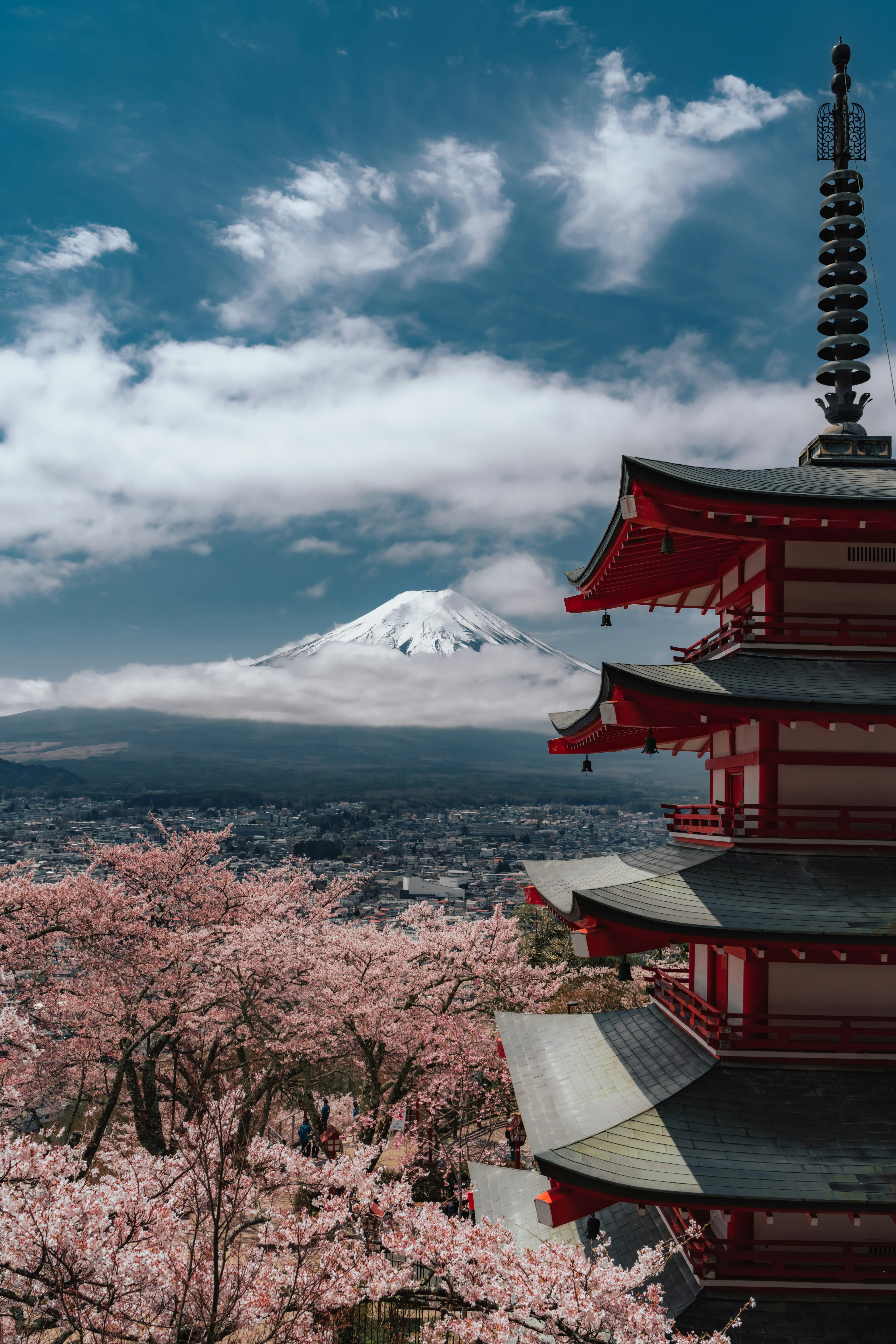 Vue de cerisiers en fleurs et d'une pagode rouge avec le mont Fuji en arrière-plan