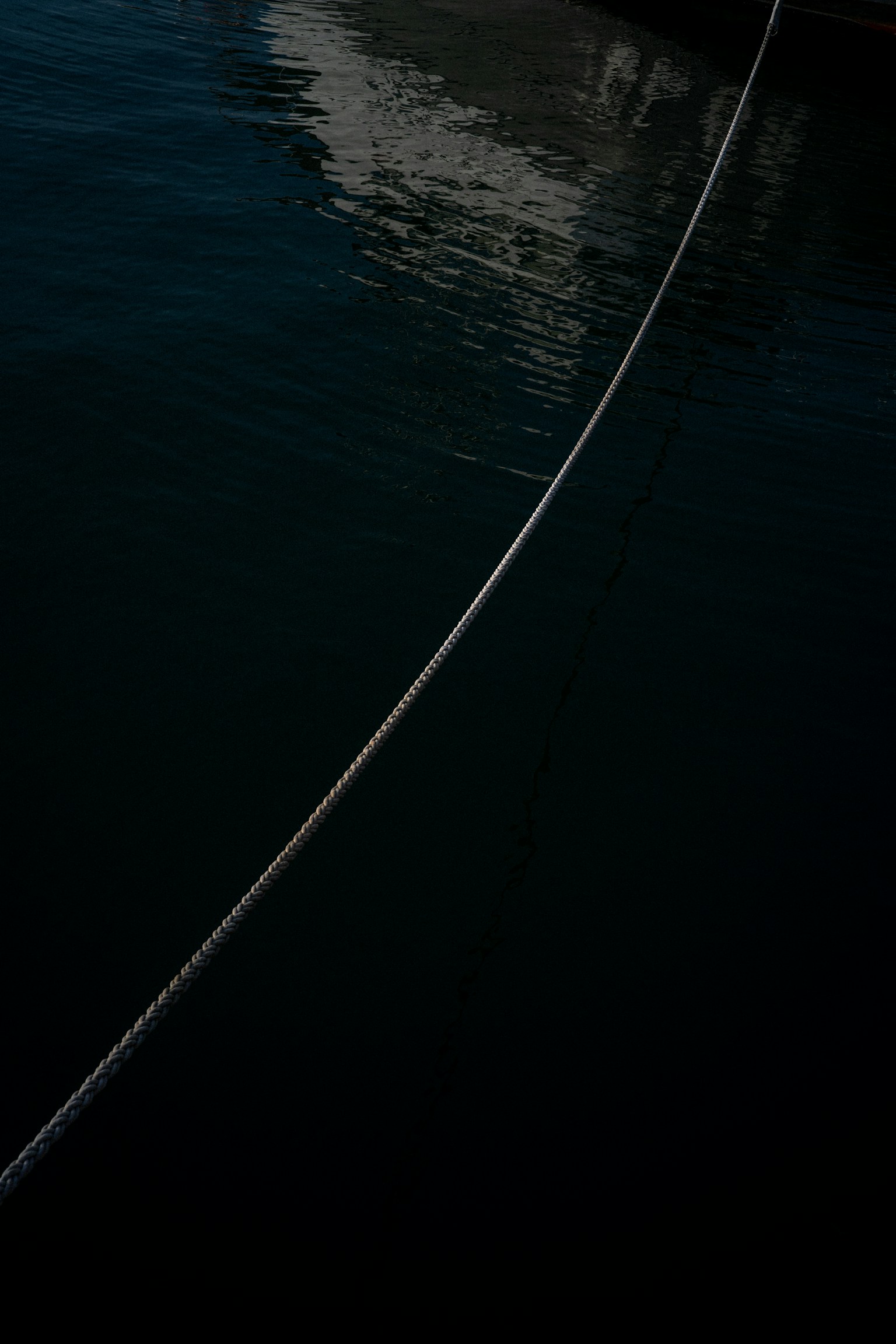 photo-fVAFORV8KqeXT9JtrggJ-image