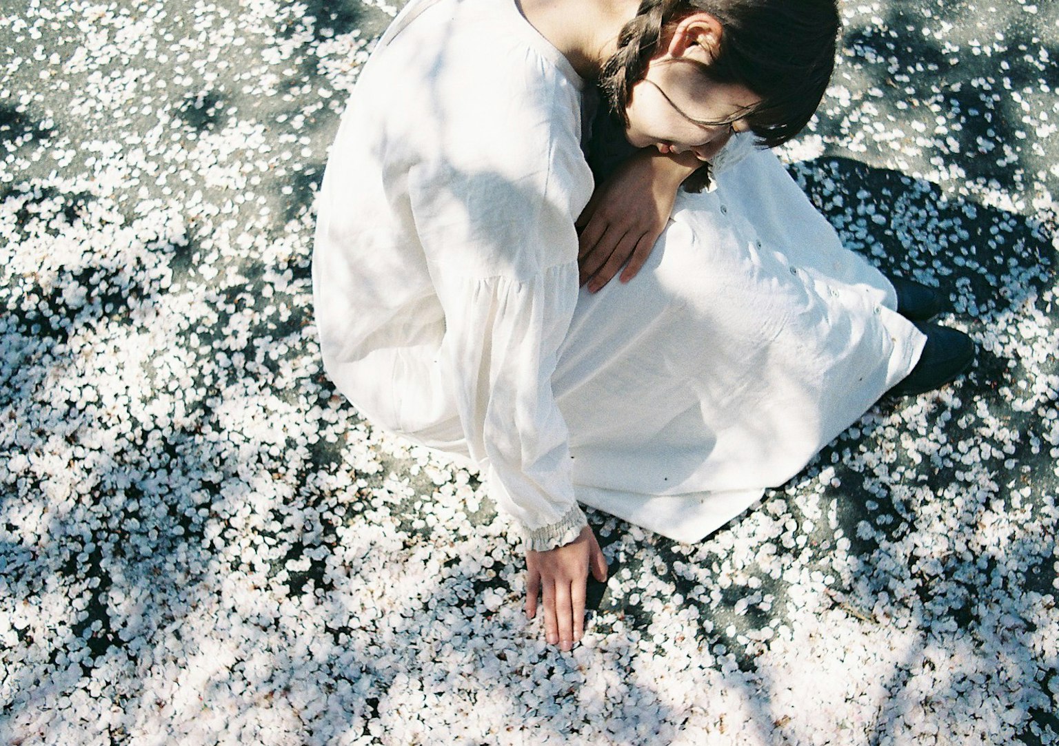 หญิงสาวในชุดขาวนั่งอยู่บนกลีบดอกซากุระ