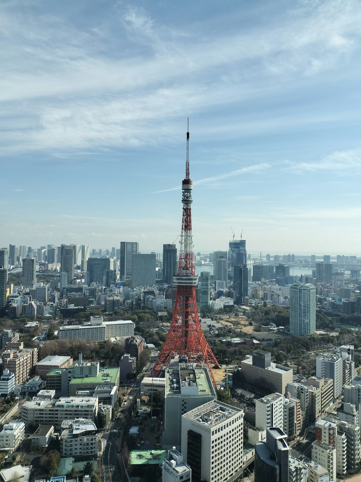 Menara Tokyo dengan pemandangan kota sekitarnya