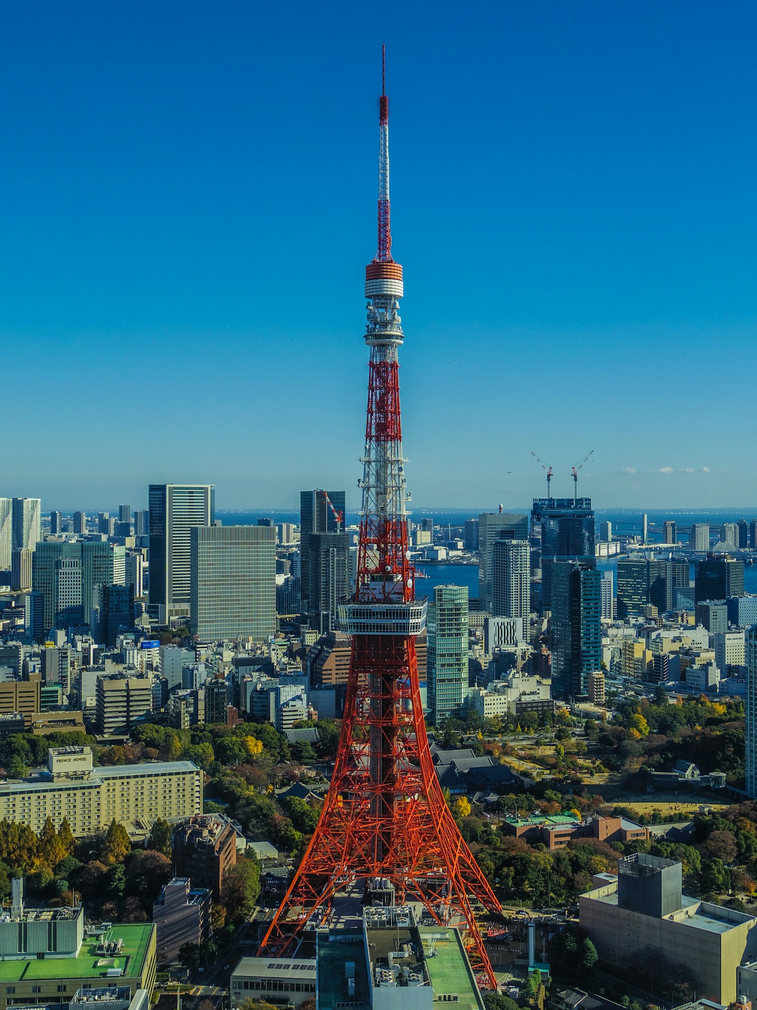 Tour de Tokyo entourée de gratte-ciels sous un ciel bleu