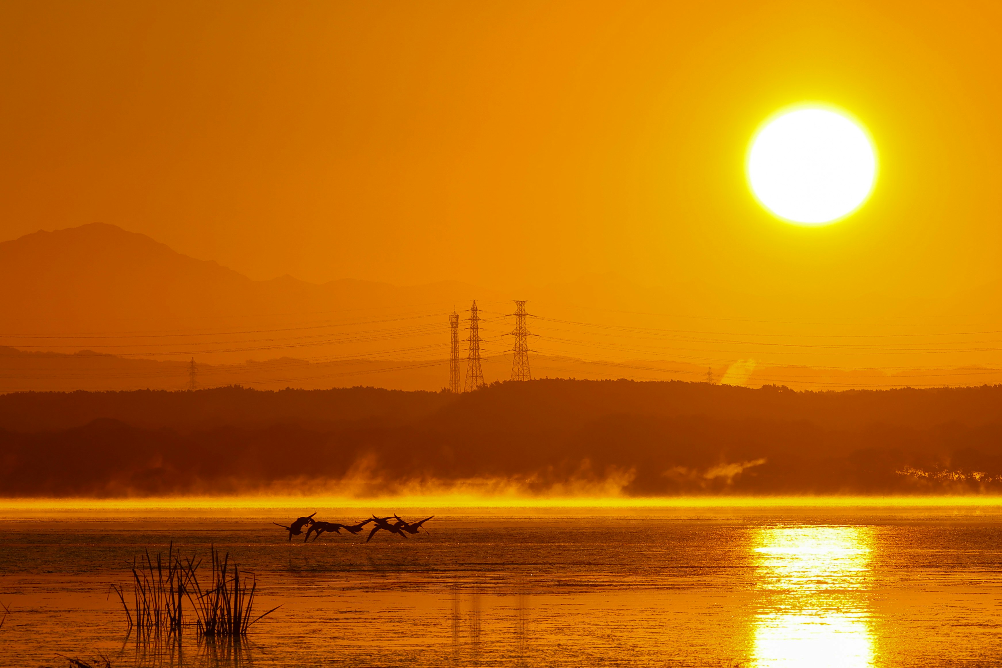 朝陽の海辺で霧が流れる夕景