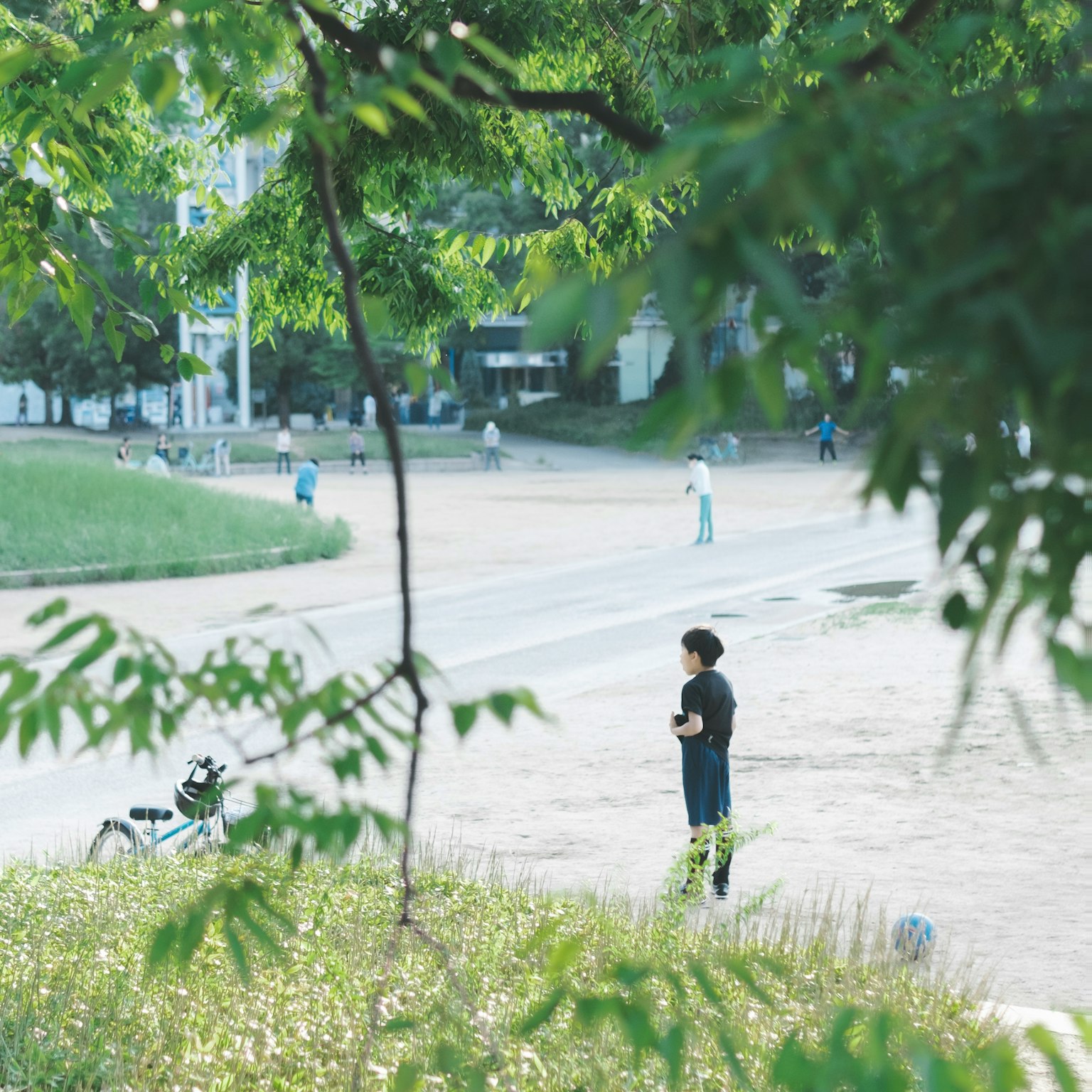 一个人在郁郁葱葱的公园里站着，背景中还有其他人