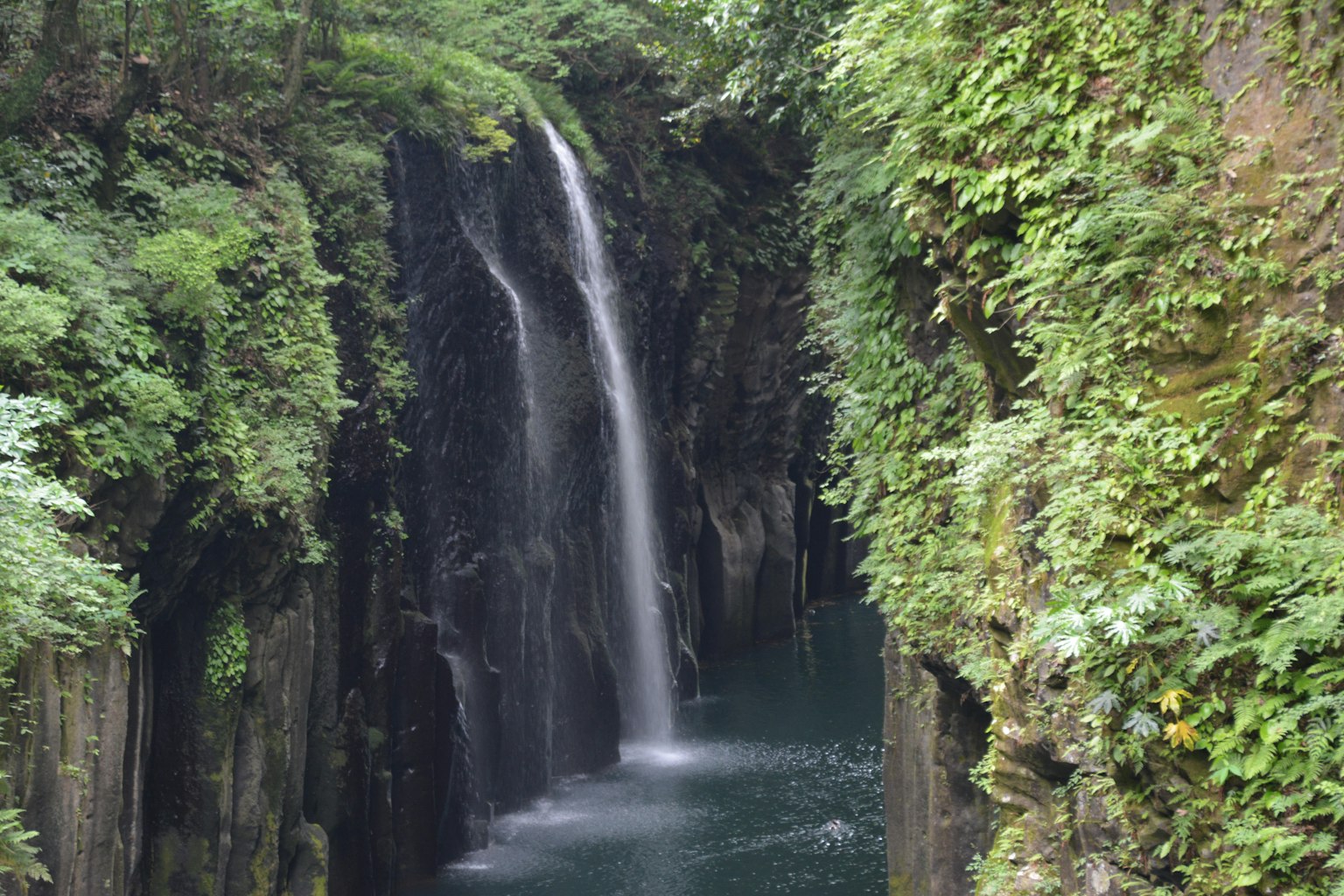Cascada escénica rodeada de vegetación exuberante