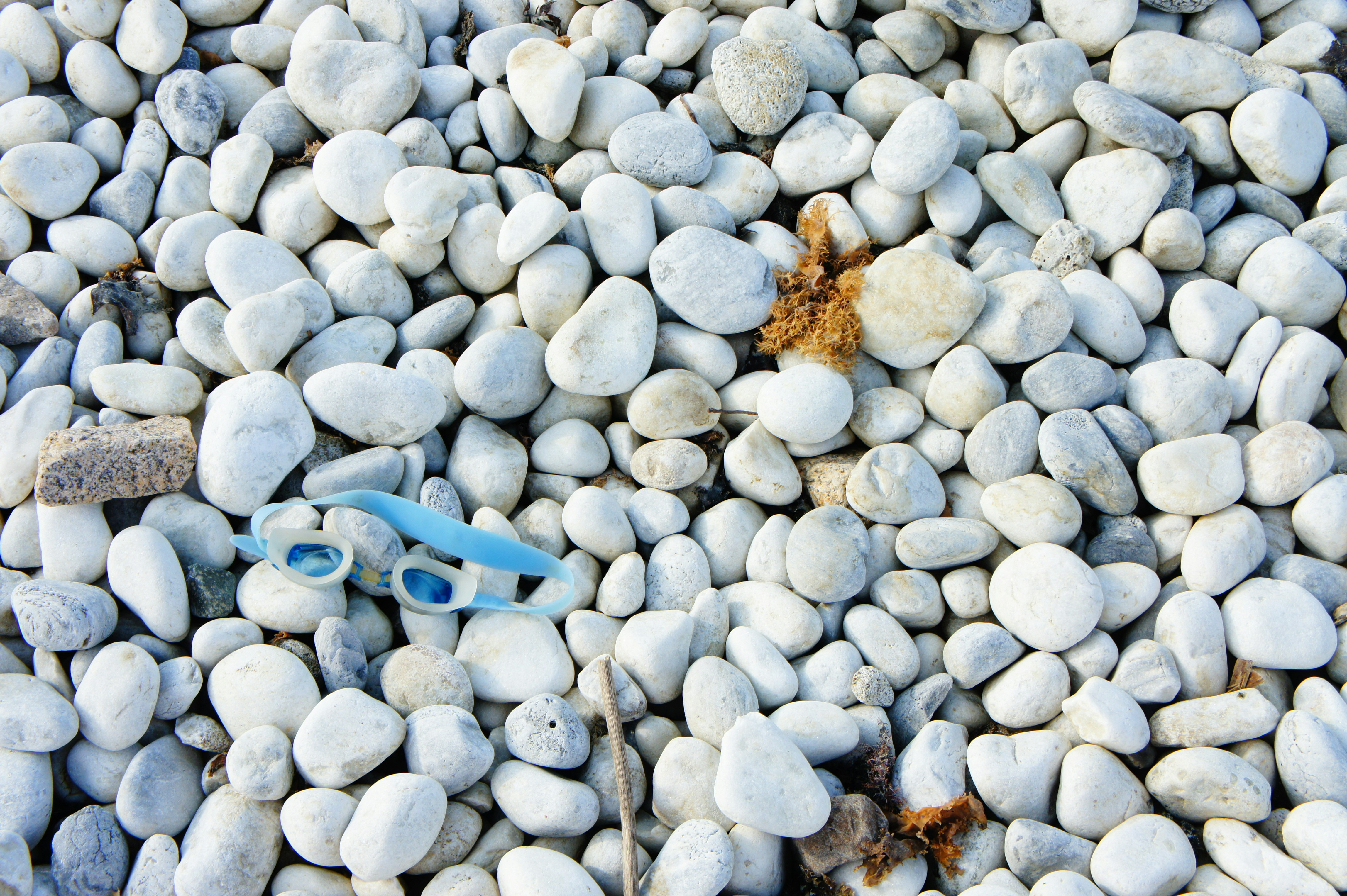 blue plastic fragment on a bed of white pebbles