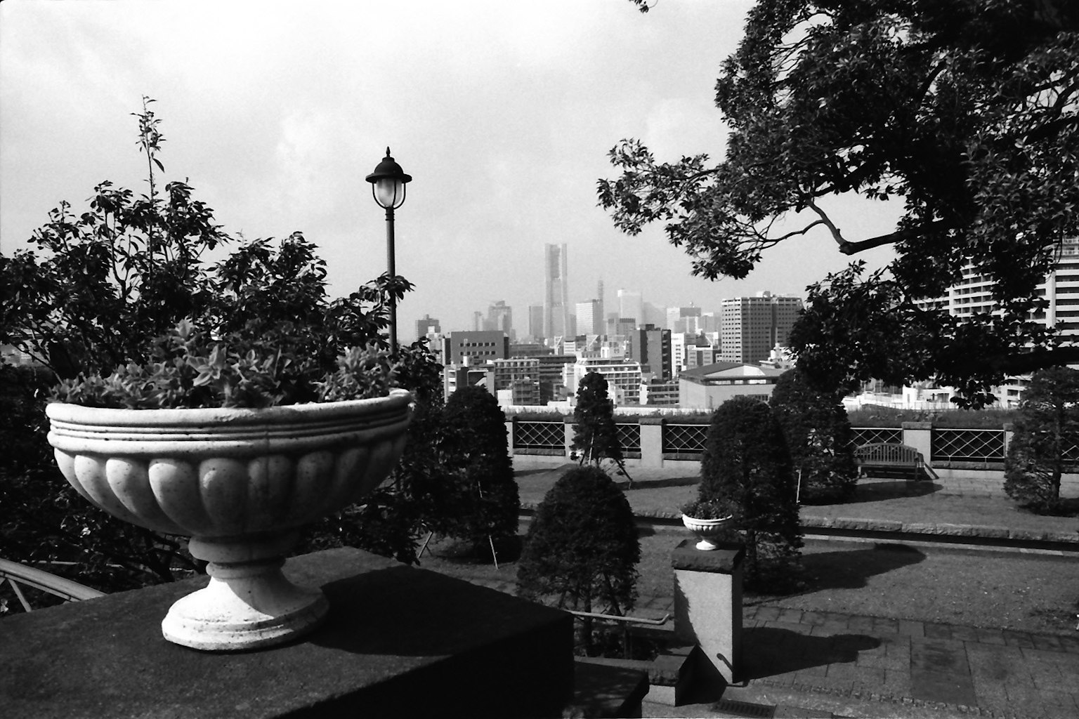 公园景观，背景为装饰性花盆和城市天际线