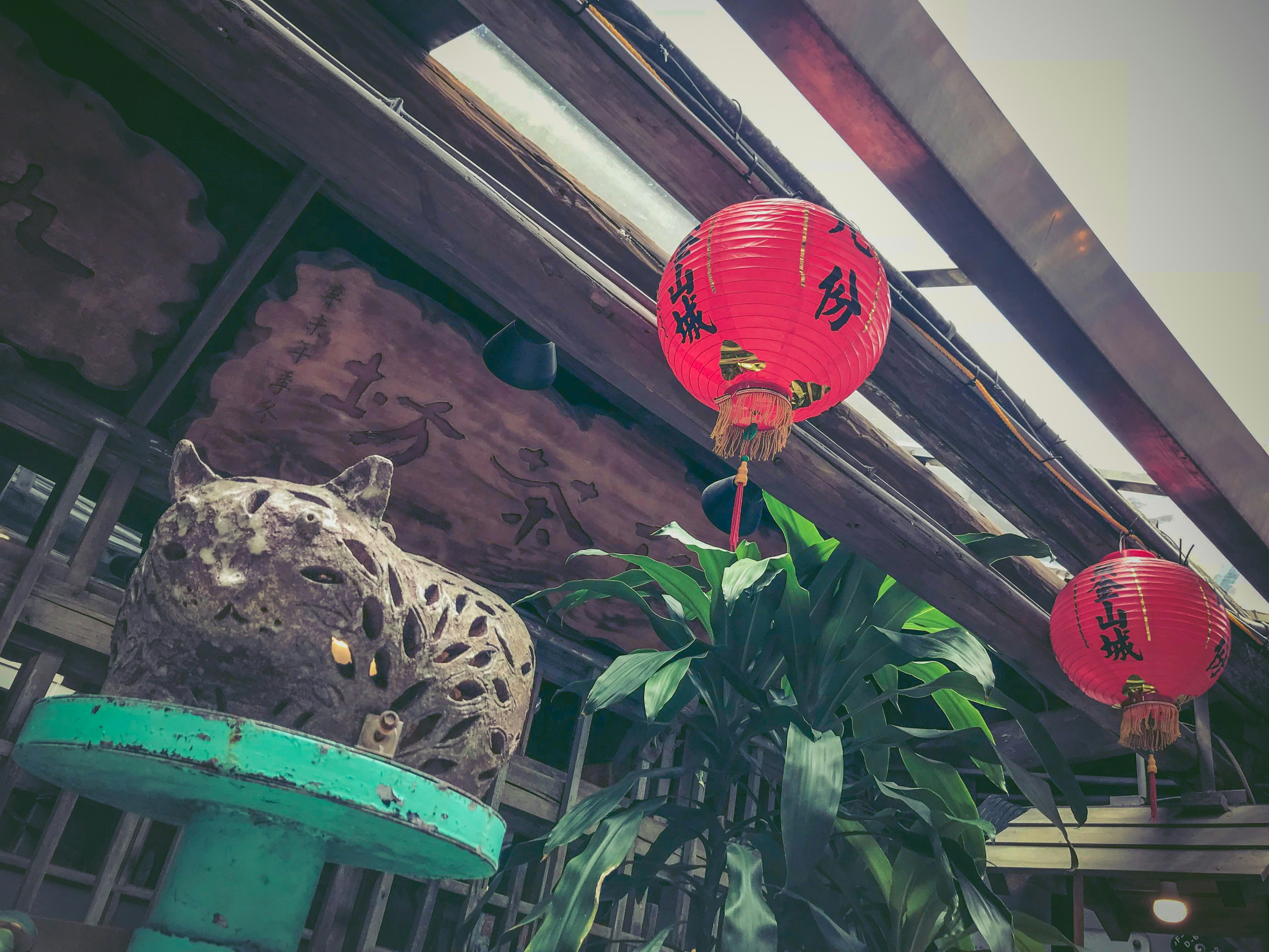 Con rùa trong tủ trưng bày kính kèm đèn lồng đỏ trong cửa hàng