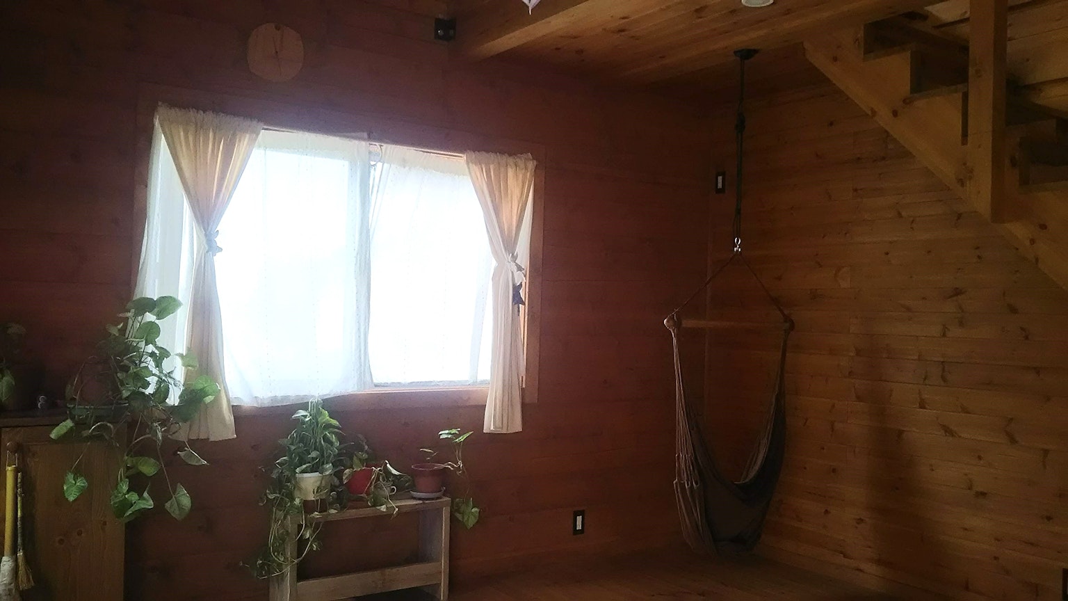 Cozy wooden room with a window and curtains plants and a hammock