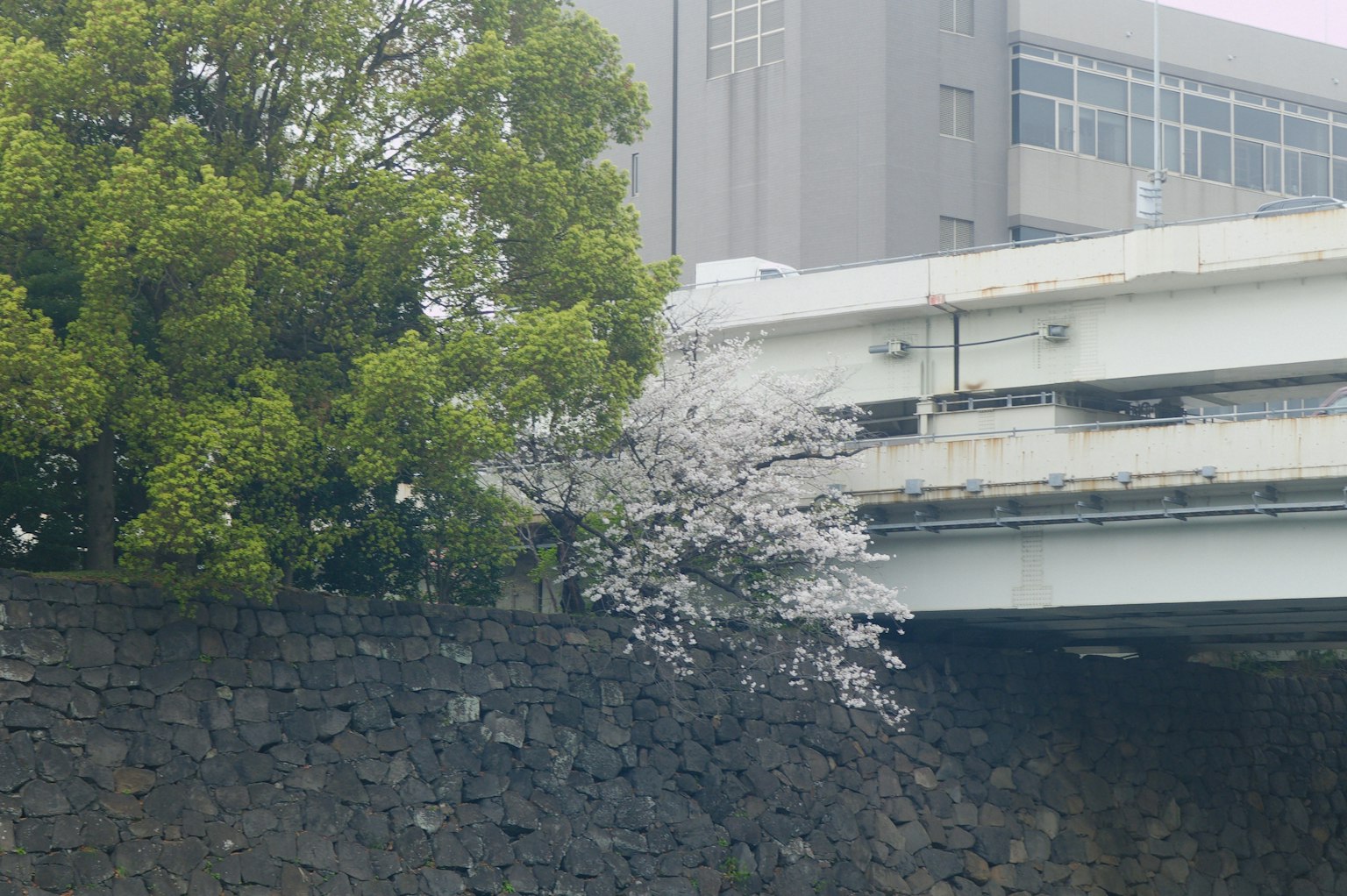 photo-fYIQWsdlQNuXk6791l4r-image