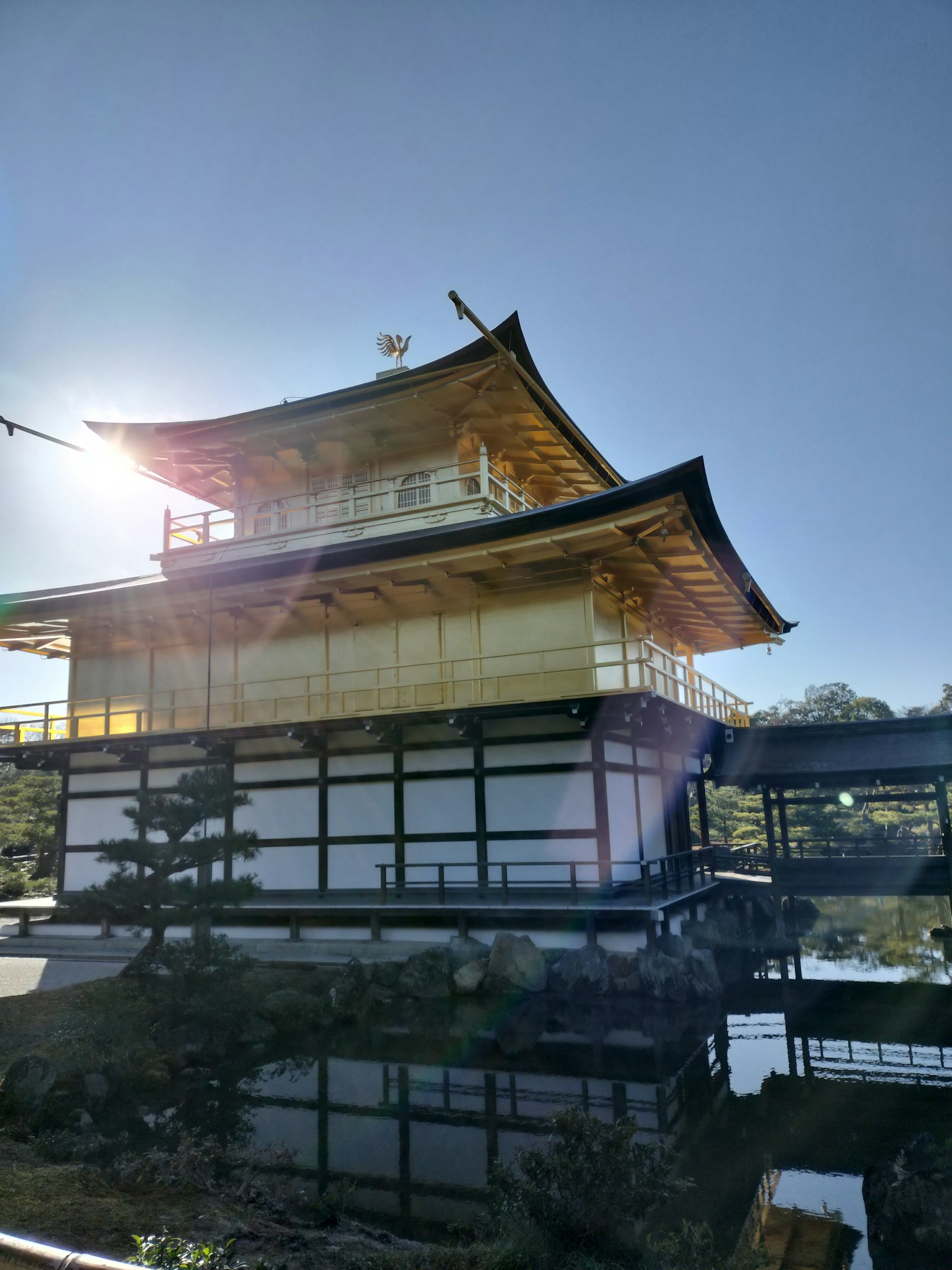 Tempio Kinkaku-ji con esterno dorato sotto un cielo blu chiaro