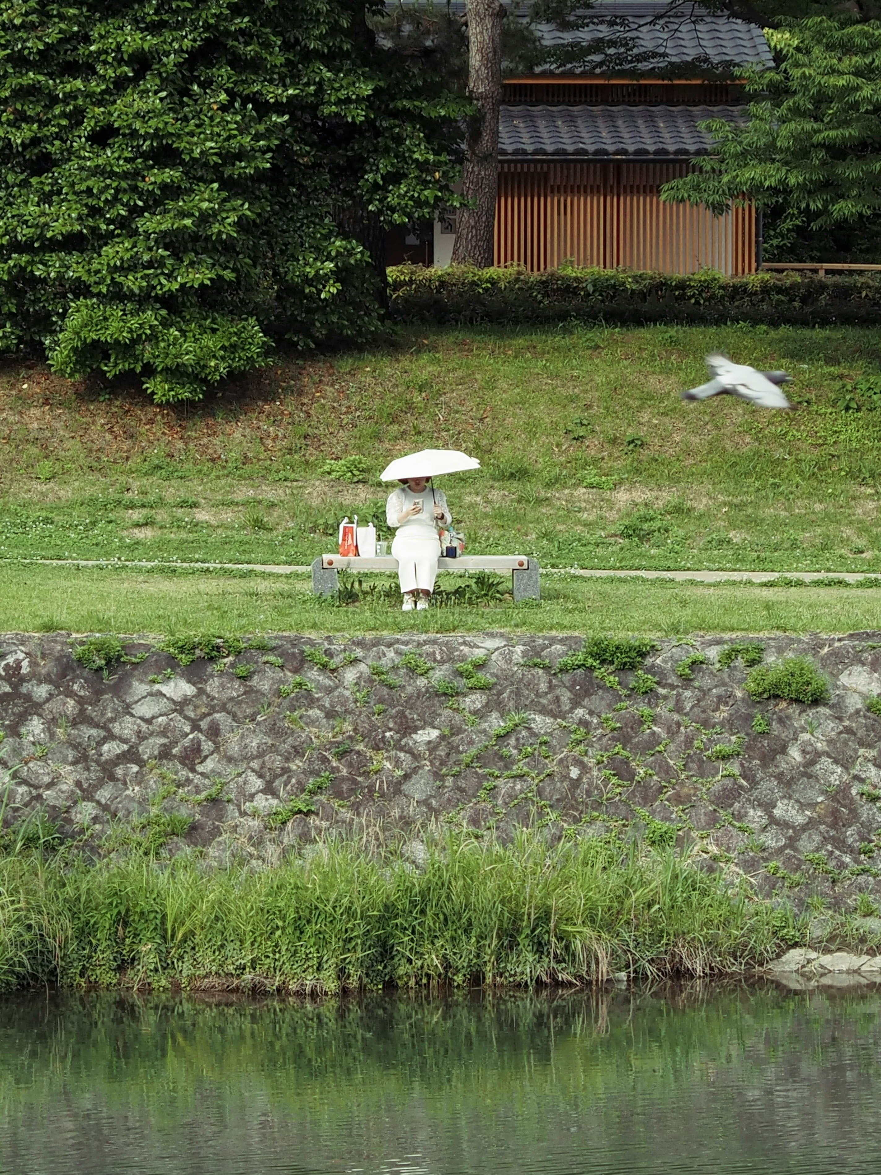 庭園の池のそばで傘をさす人物と小さなテーブル
