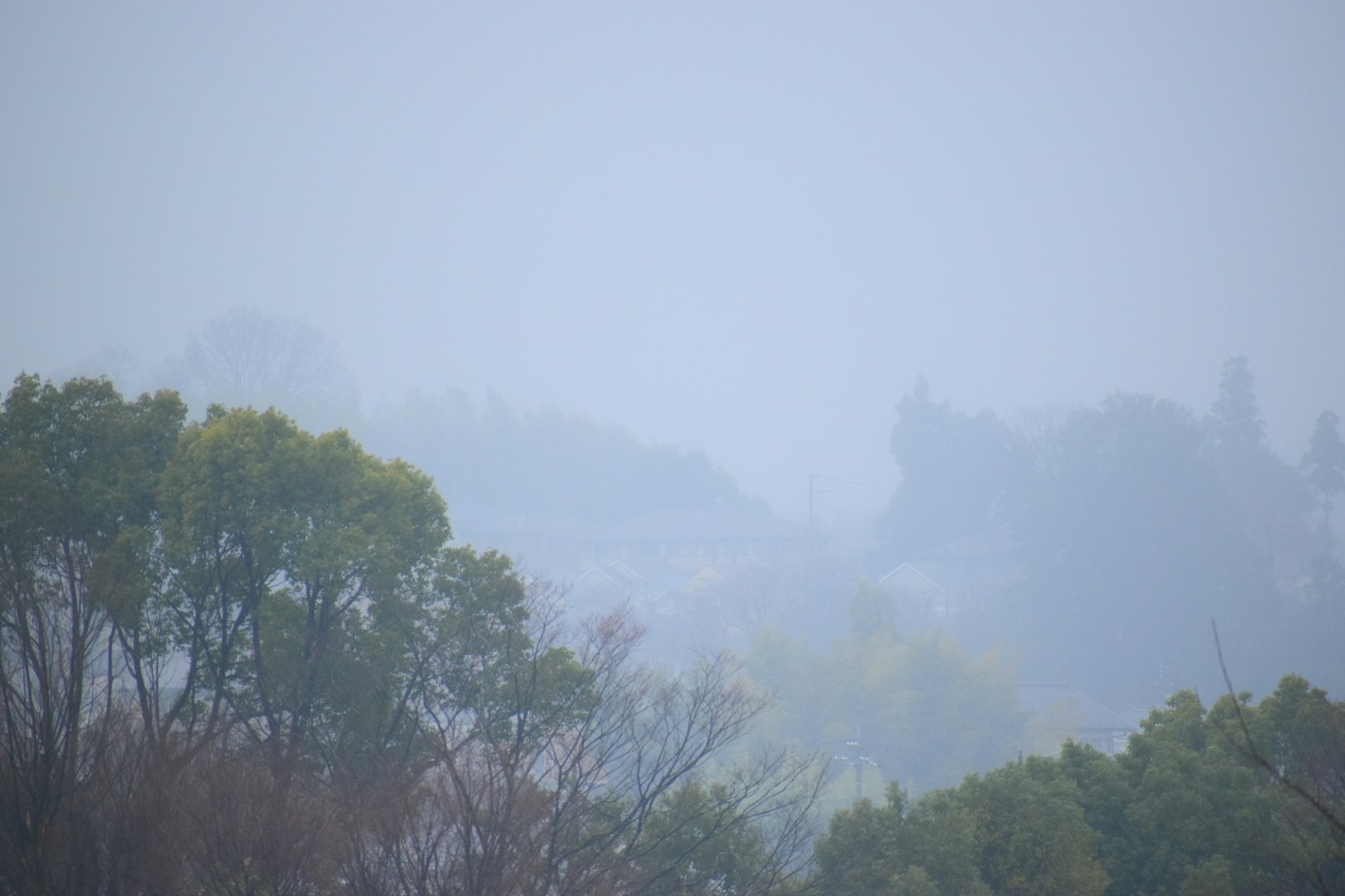 雨霧のかかった山々と森の風景
