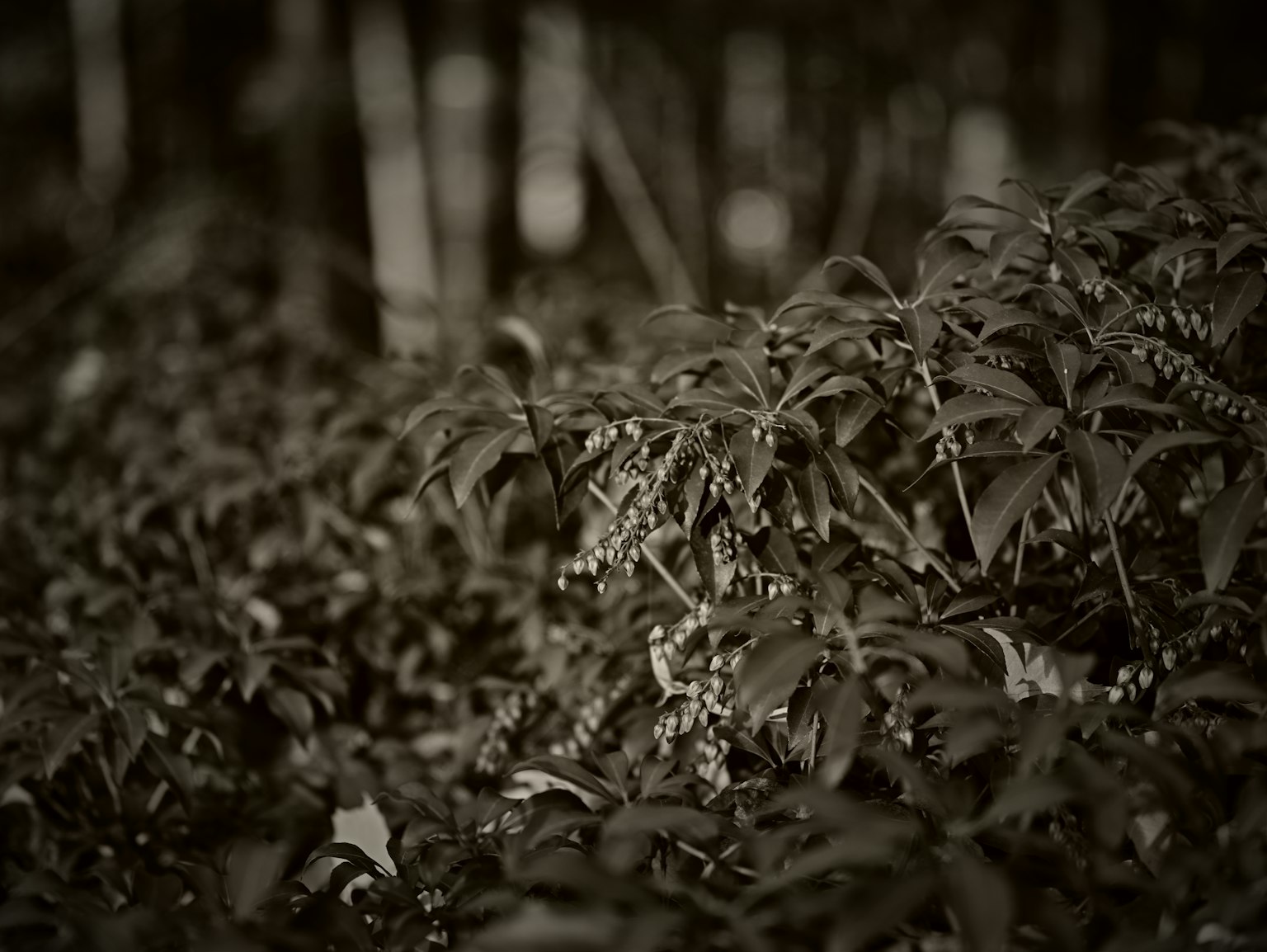 photo-faAgLJjdT26K2MBTsEUH-image