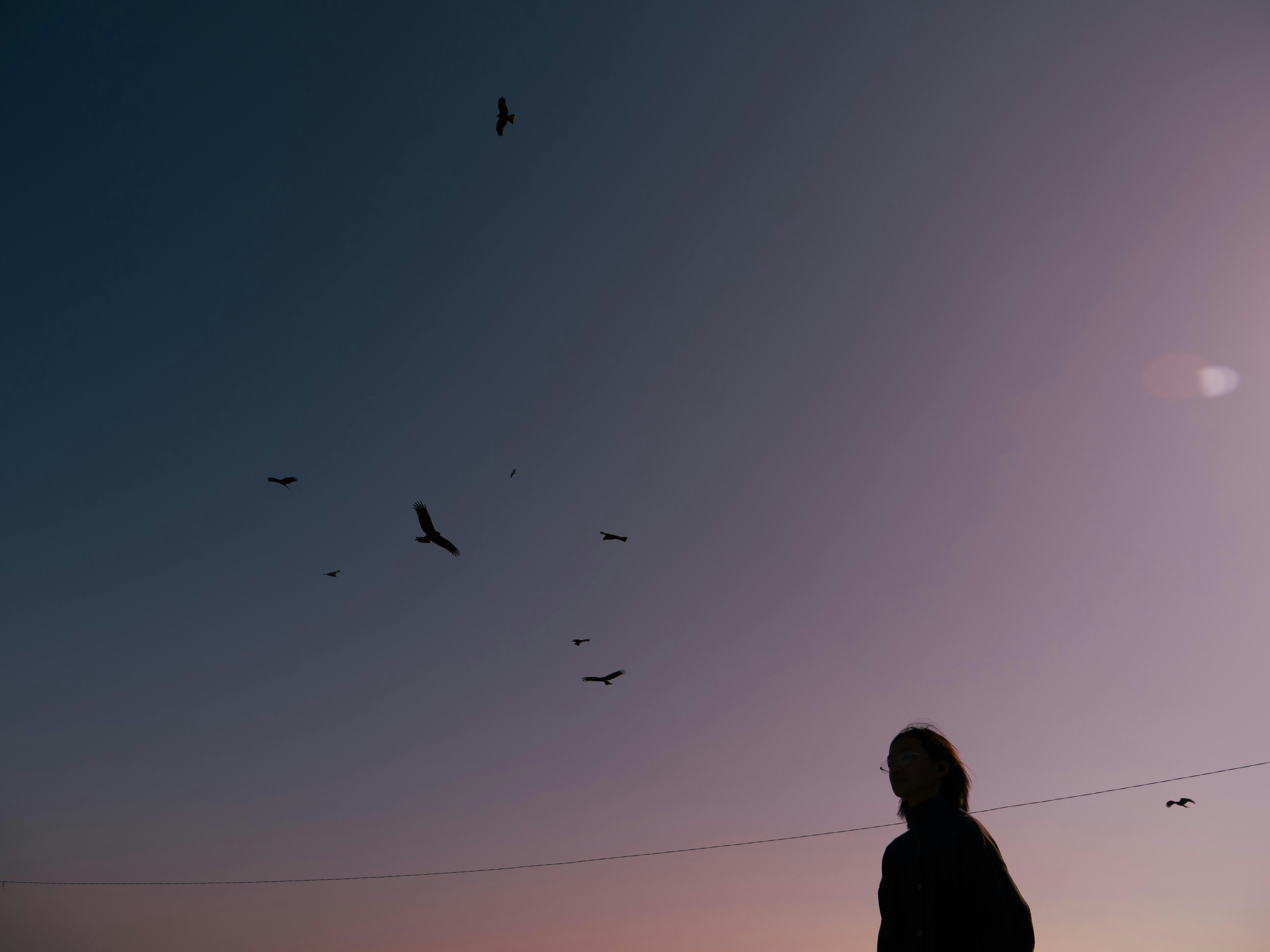 夕暮れの空を飛ぶ鳥とシルエットの人物