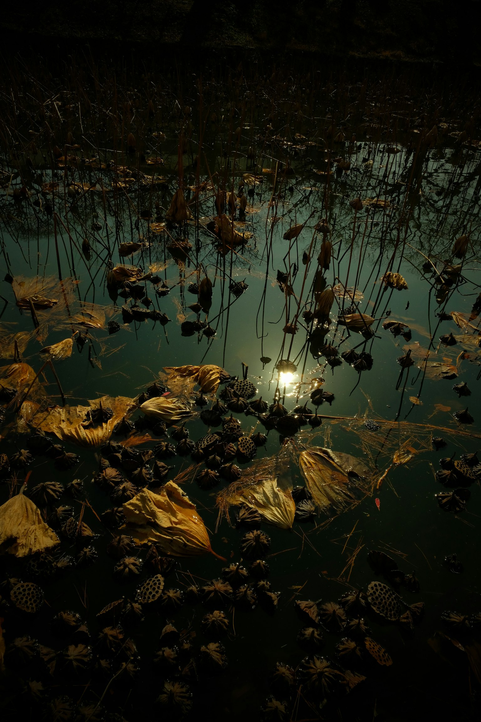 photo-faKTnOcwlWPnrapY5lRo-image