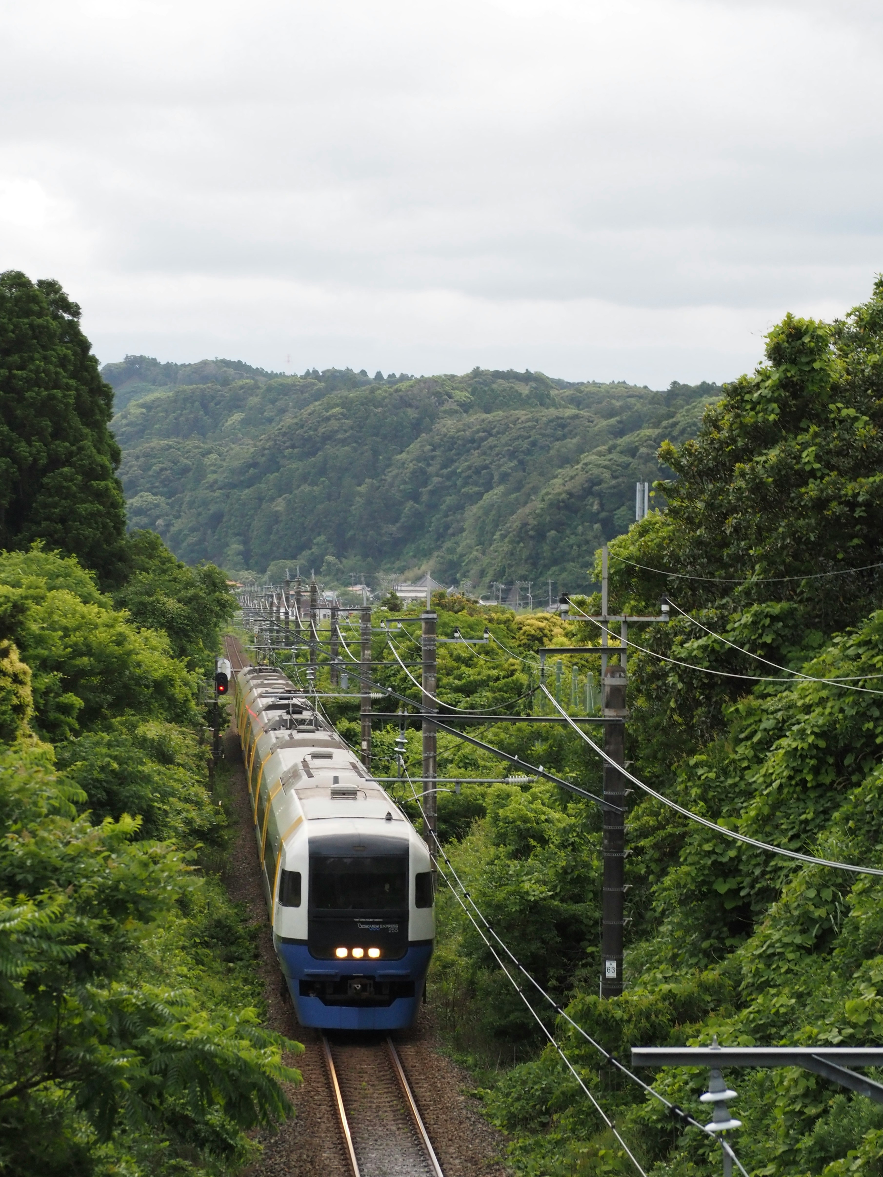 รถไฟด่วนพิเศษวากะชิโอะ ซีรีส์ 255 สายโซโตโบ (JR East Japan) วิ่งผ่านเนินเขาเขียวขจี