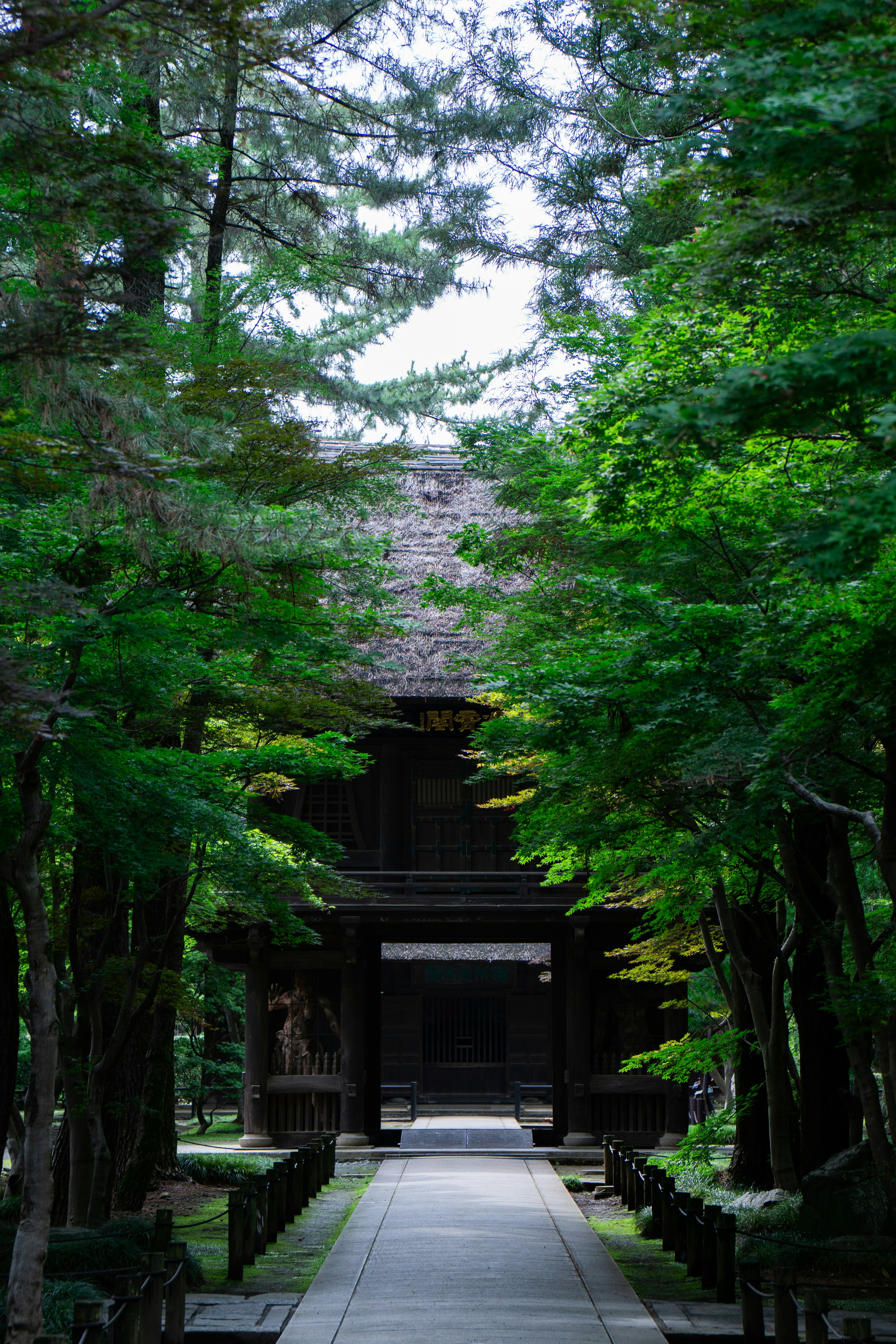 緑の並木と石畳の参道が続く寺院の門前
