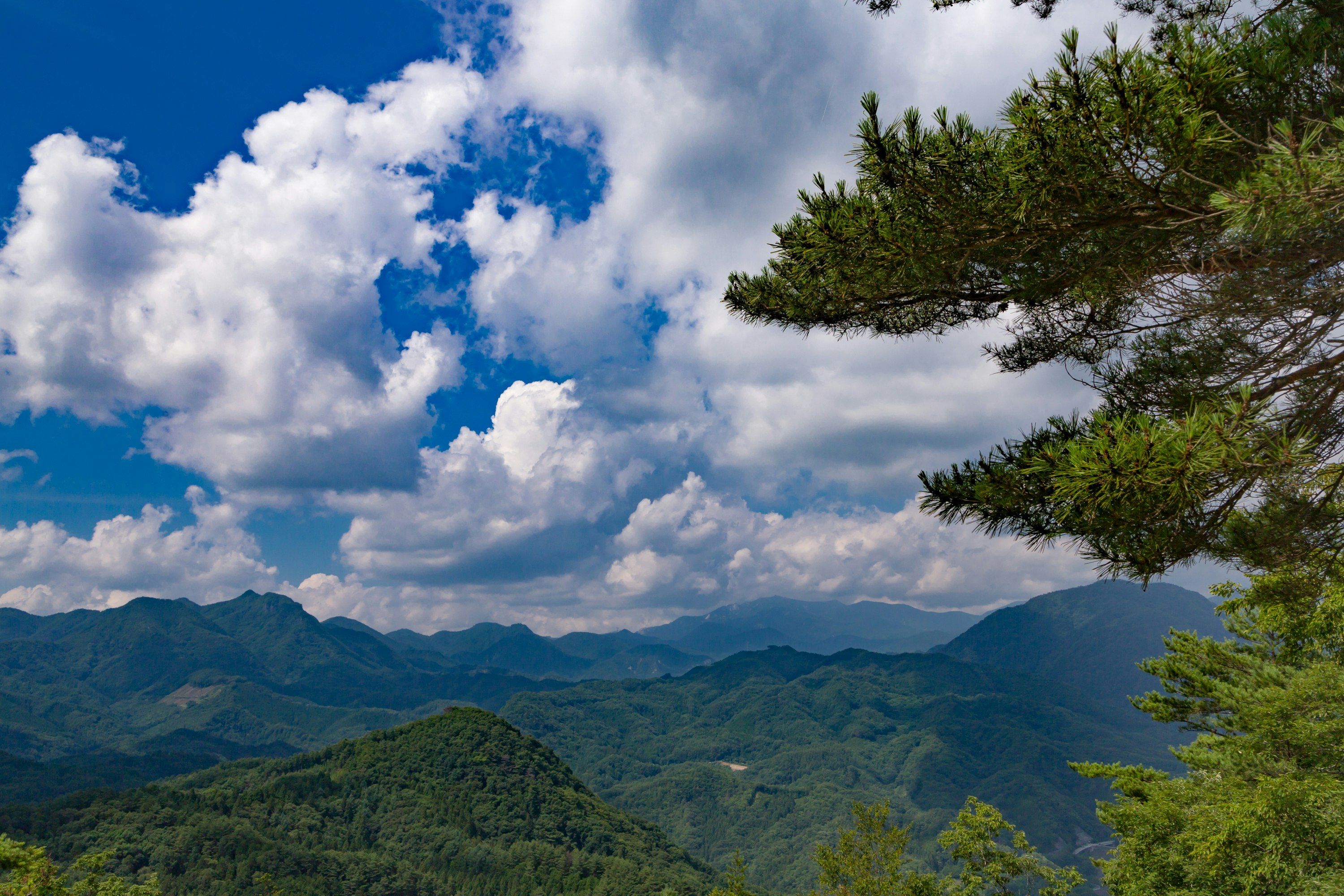 cielo azzurro nuvoloso sopra creste montuose e foresta verde