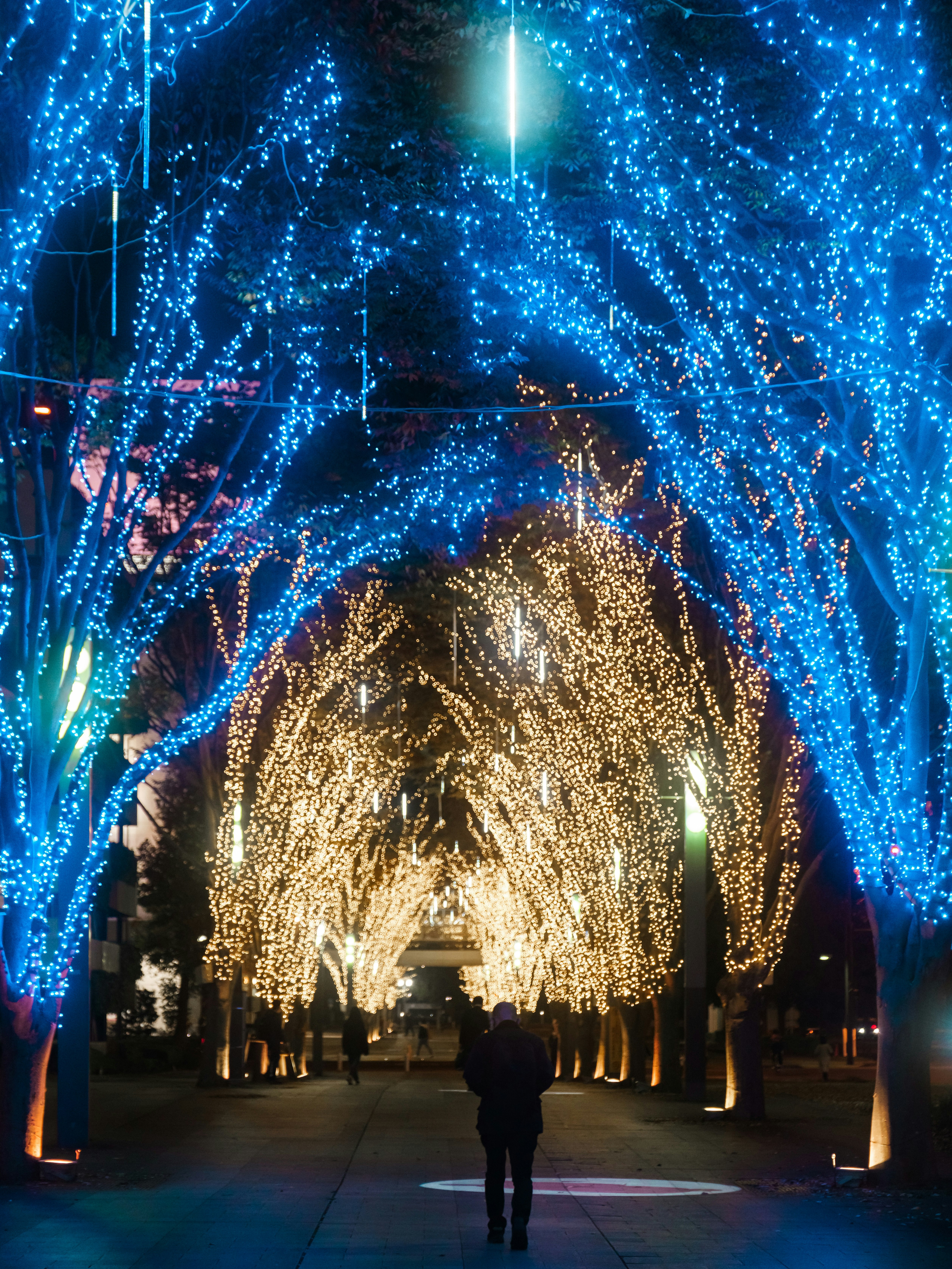 A person walking under trees illuminated by blue lights at night