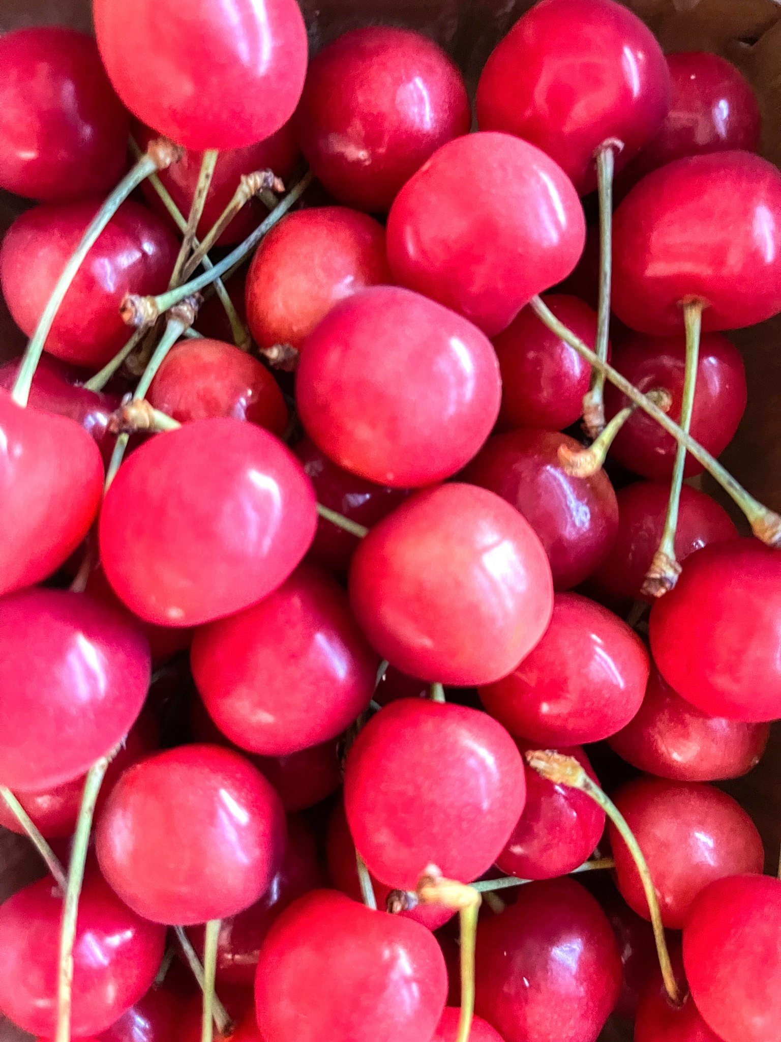 Vibrant red cherries clustered together in a bowl