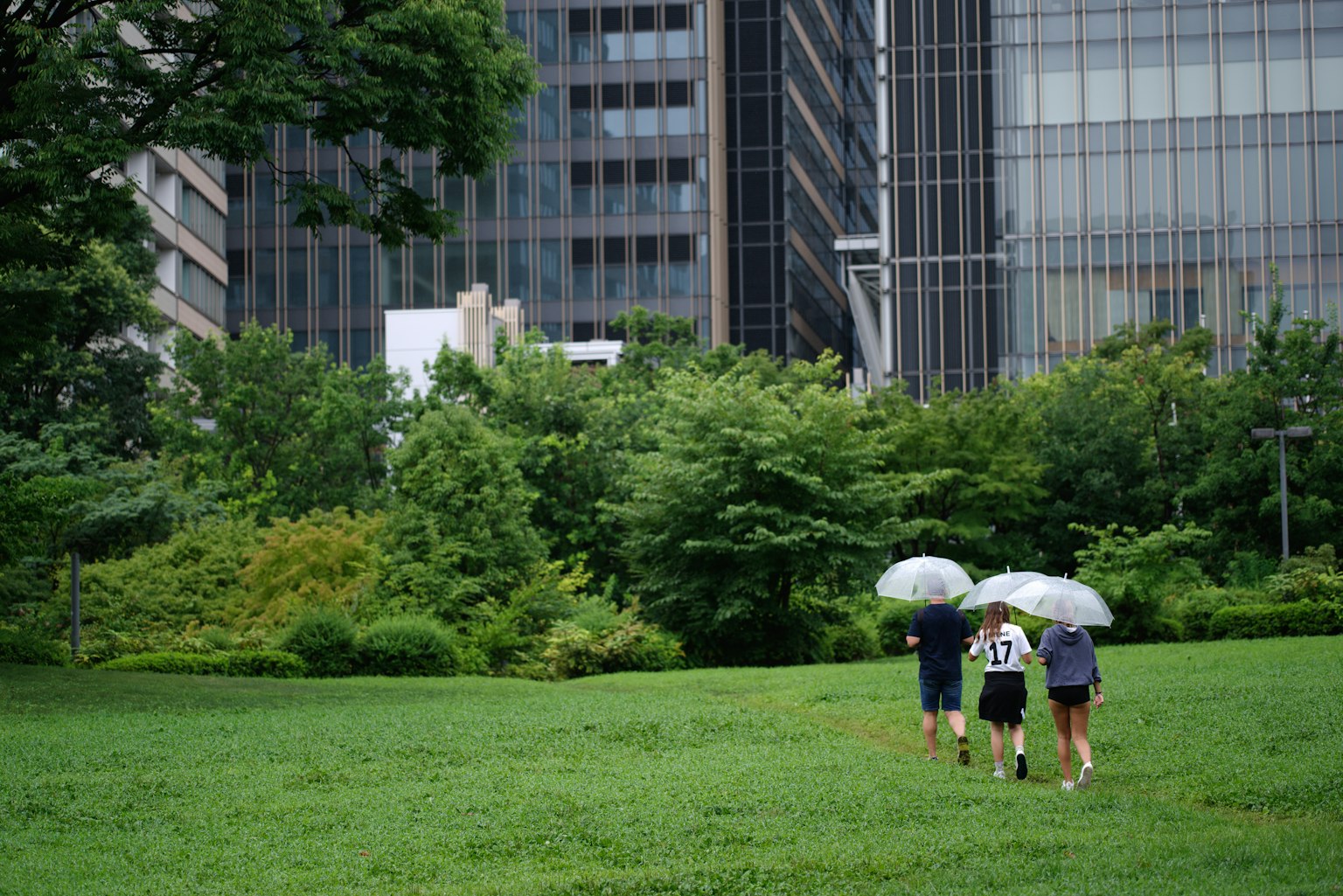 城市景观，人们在绿色公园里拿着雨伞散步