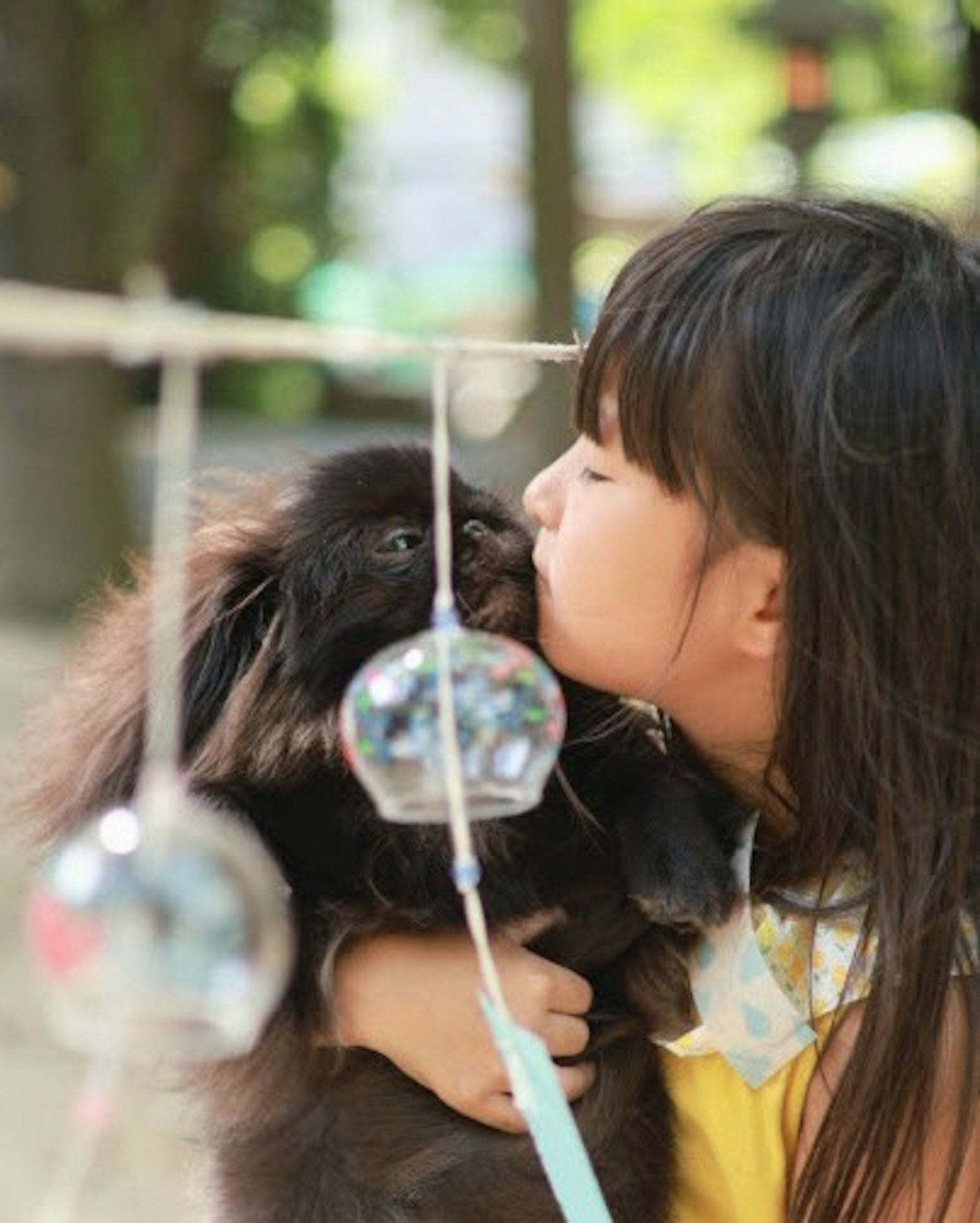 Một cô gái hôn một con chó trong không gian ngoài trời đáng yêu