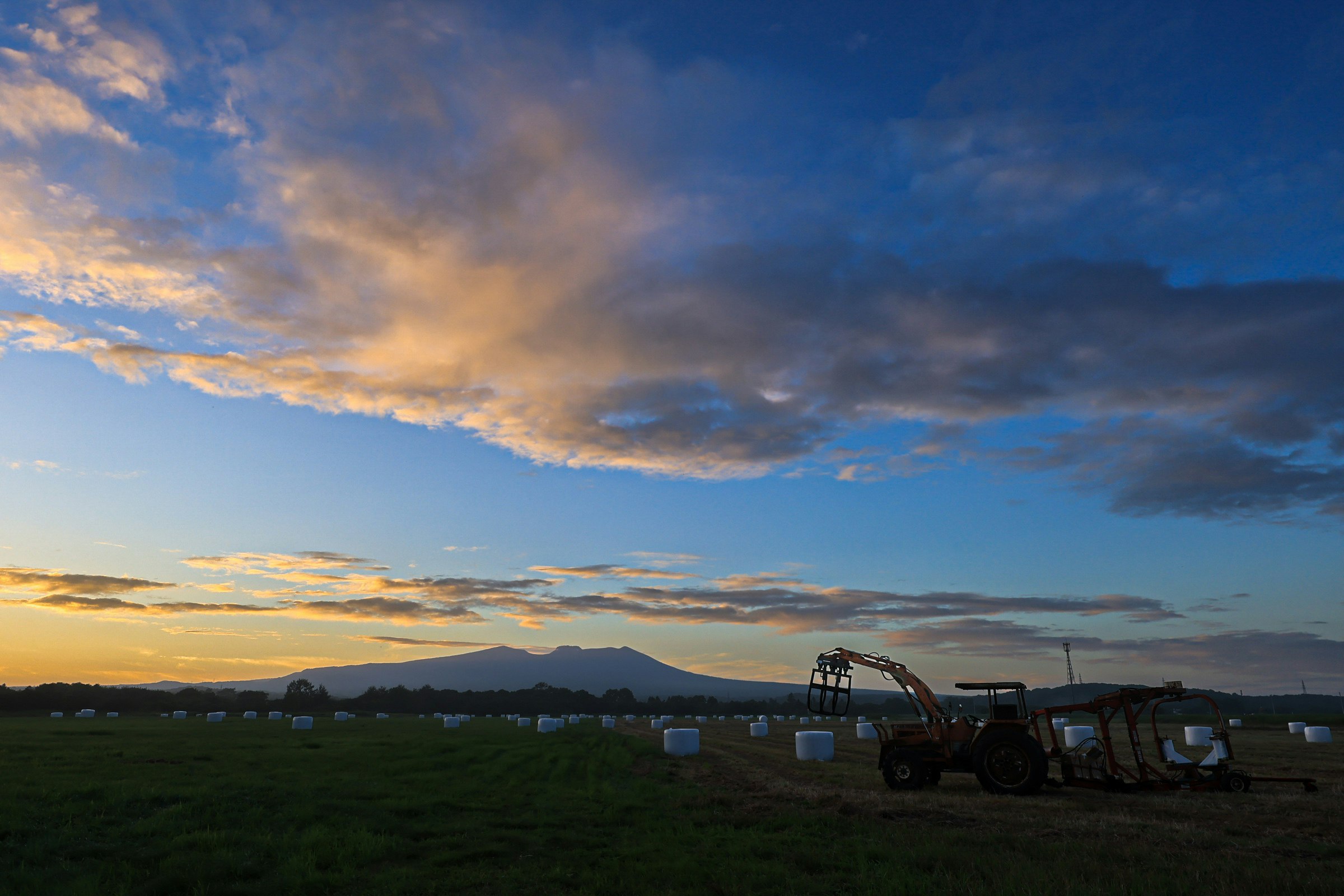 Tractors and farm equipment lined up on a grassy field at dusk