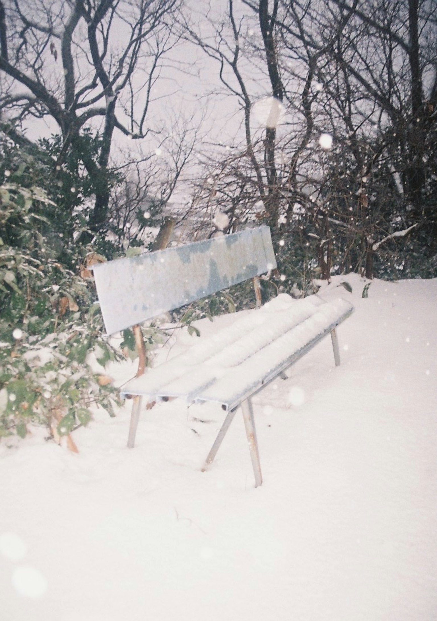 A bench covered in snow surrounded by trees
