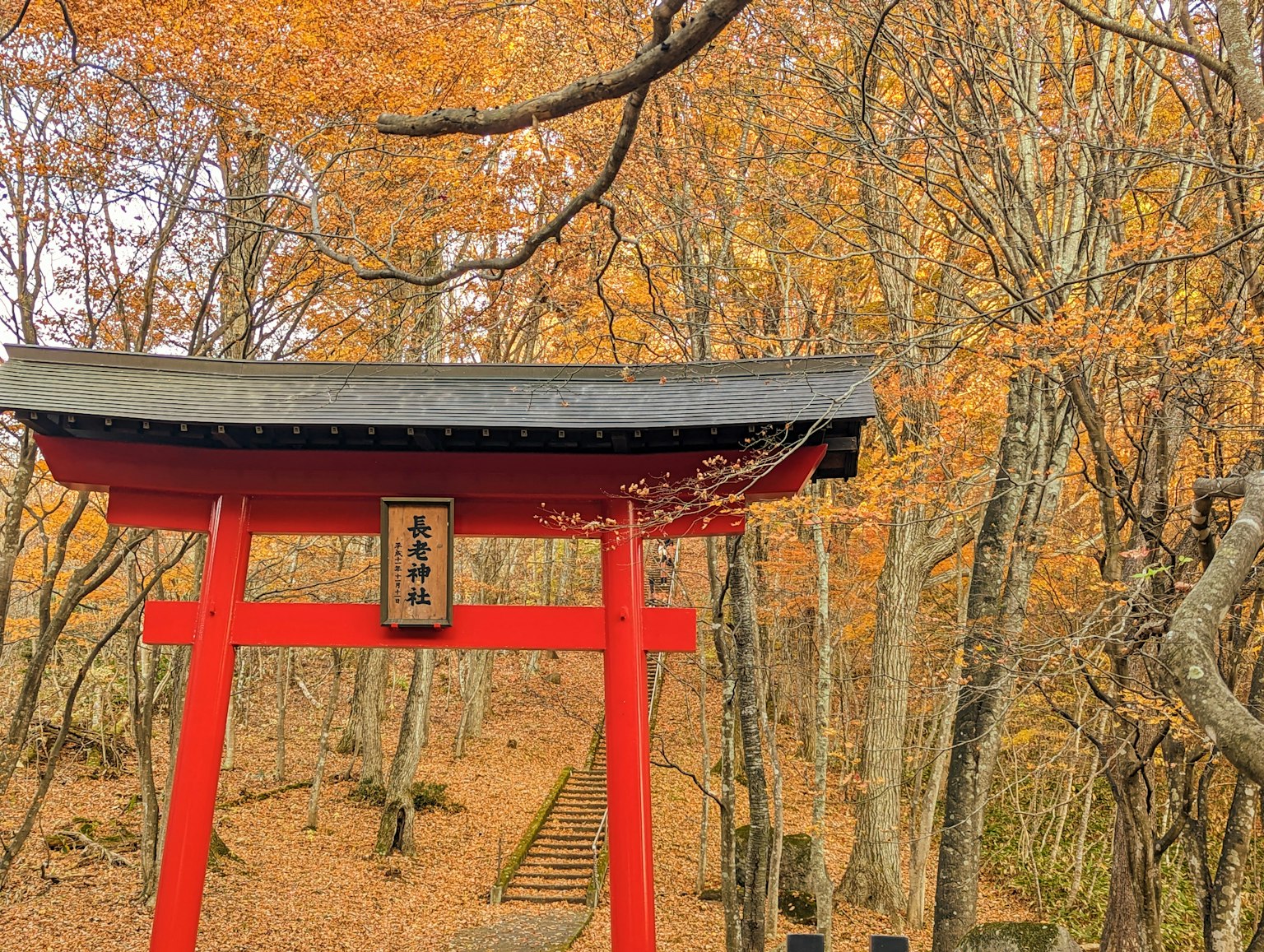 Red torii gate surrounded by autumn foliage