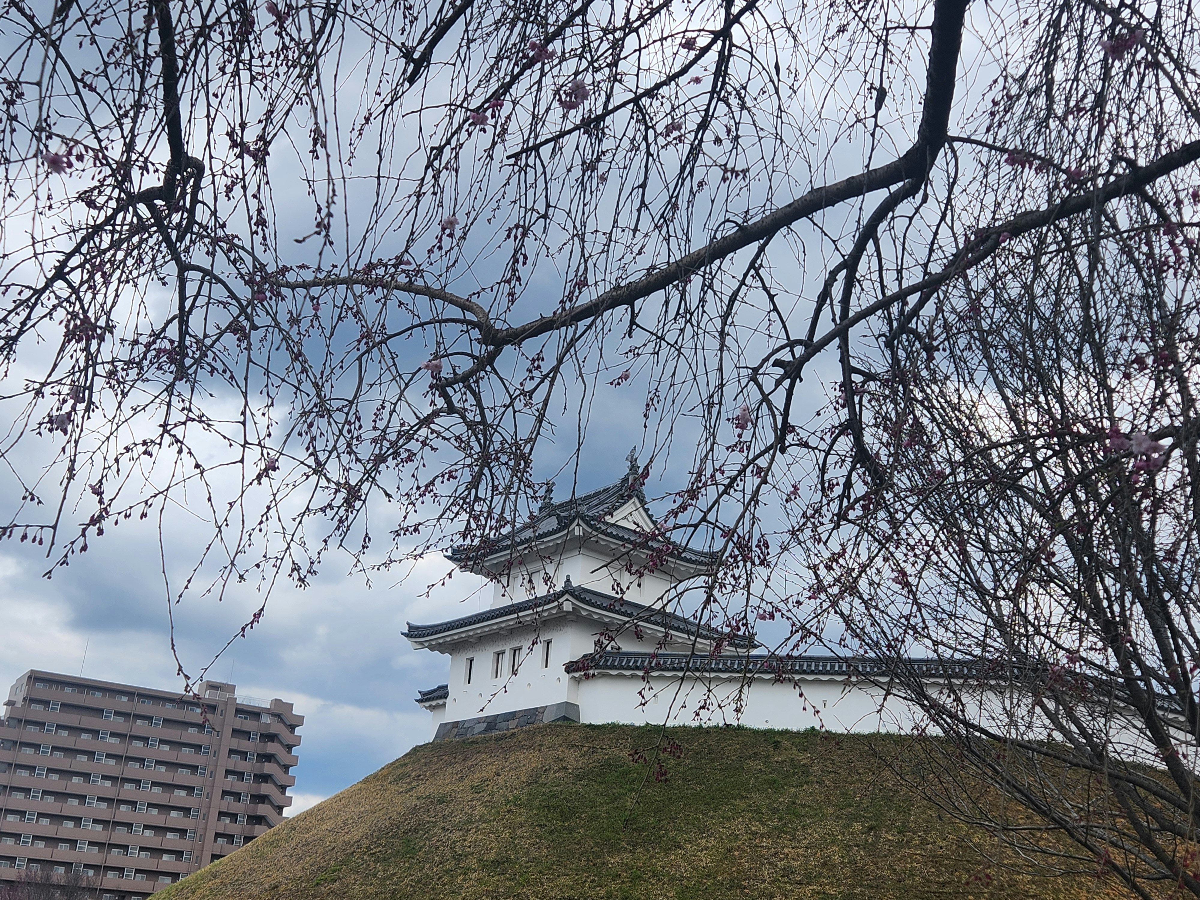 宇都宮城址公園の白い天守風建物と空の景色