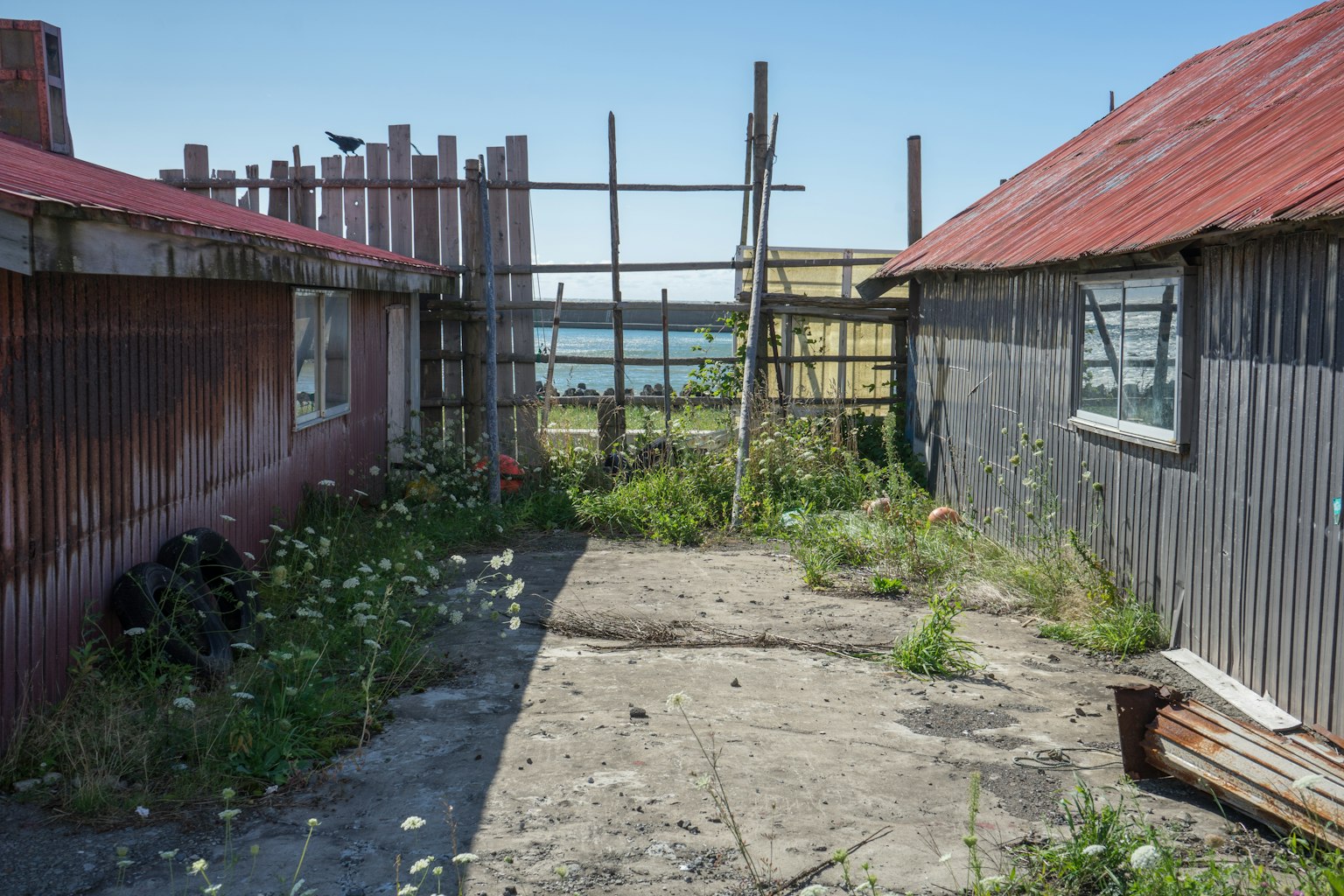Verlassener Innenhof umgeben von alten Gebäuden mit überwachsenem Gras