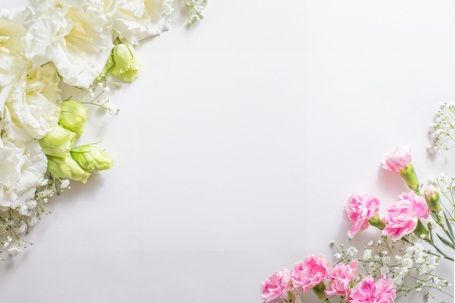 Bunte Blumen auf einem weißen Hintergrund angeordnet