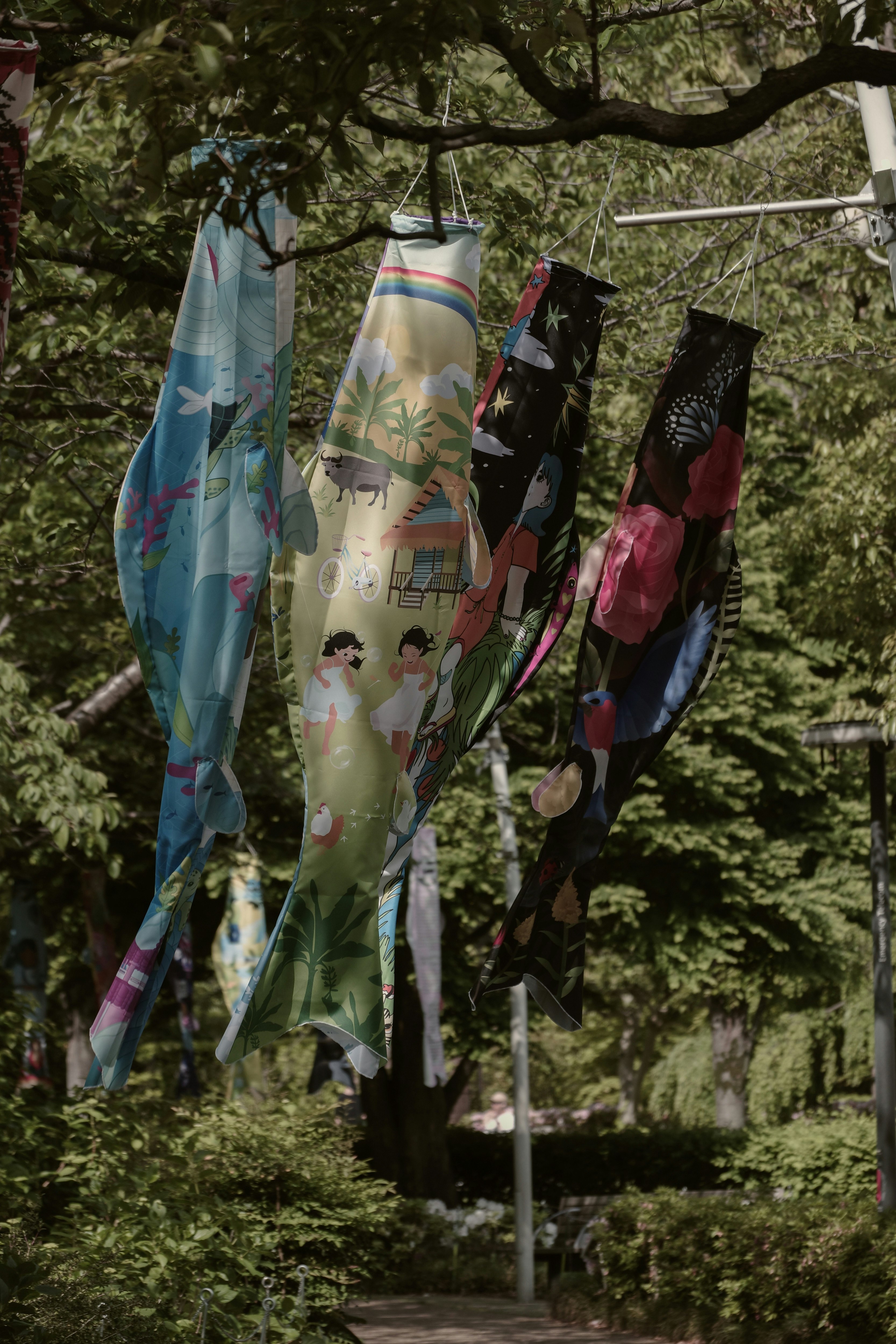 5月の鯉のぼりが並ぶ公園の木々の下