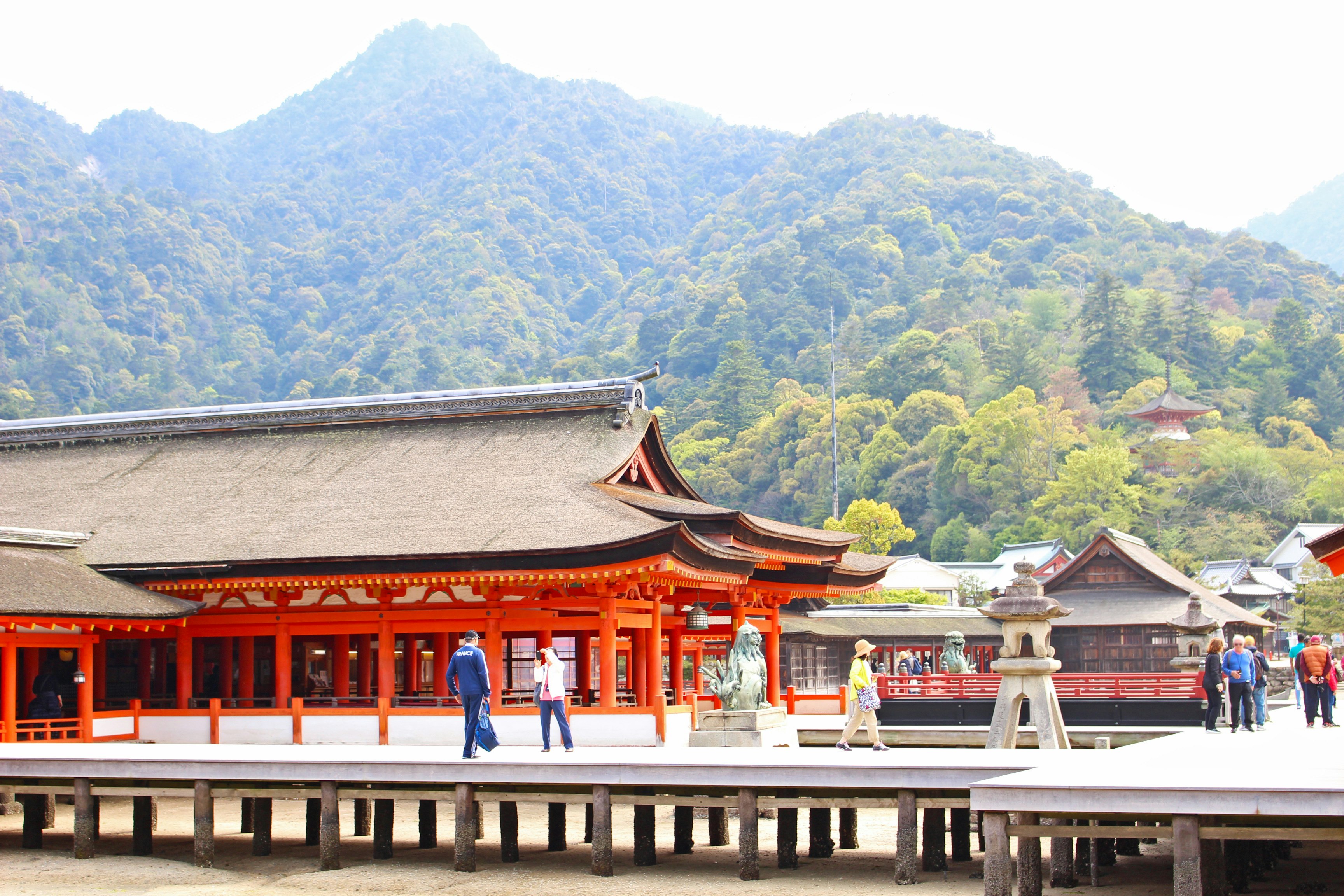 朱色の社殿と山並みが見える神社の参道