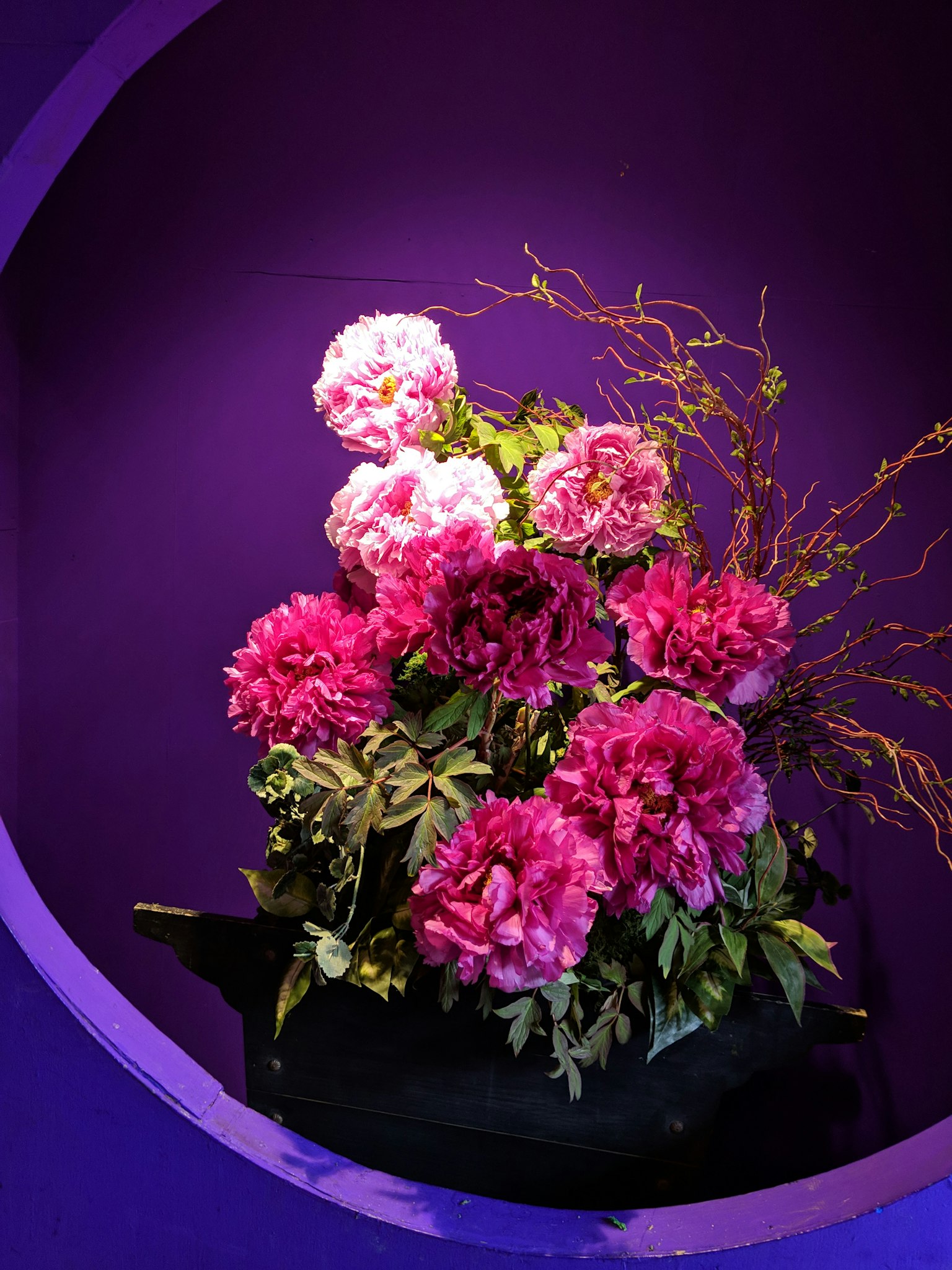 Arrangement floral avec des fleurs roses sur un fond violet