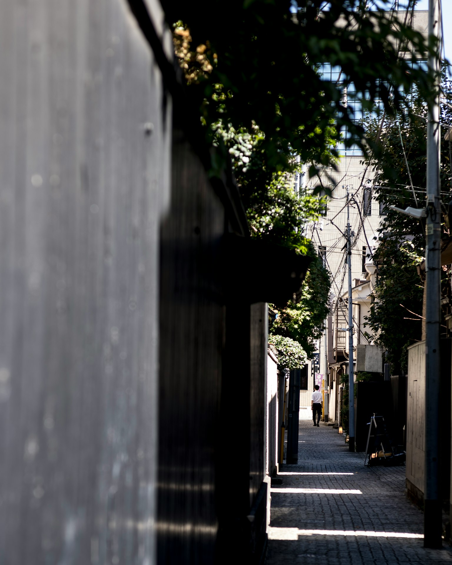 Narrow alley with walls and shadows of greenery