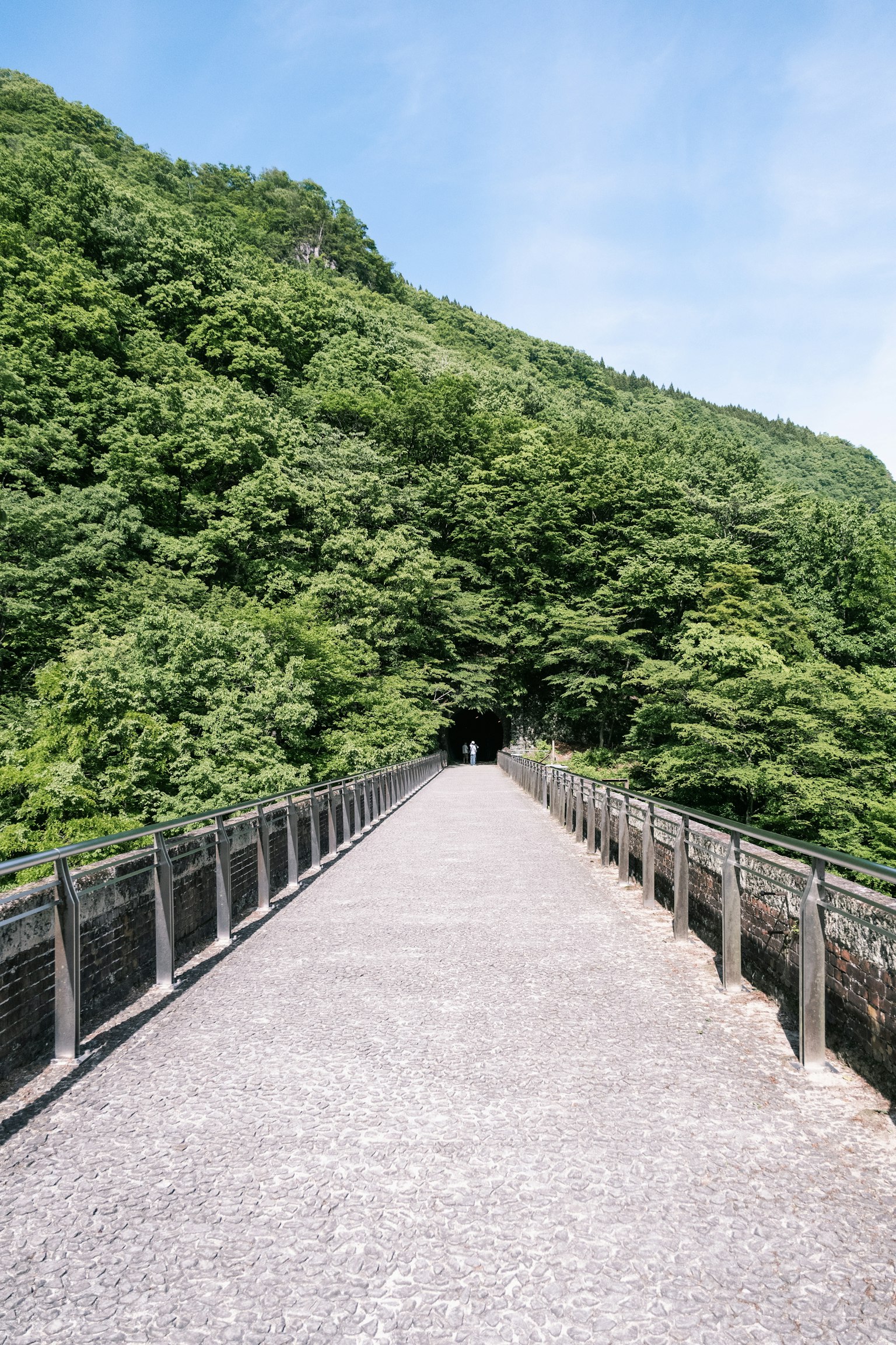 Un lungo sentiero circondato da vegetazione che conduce a un tunnel