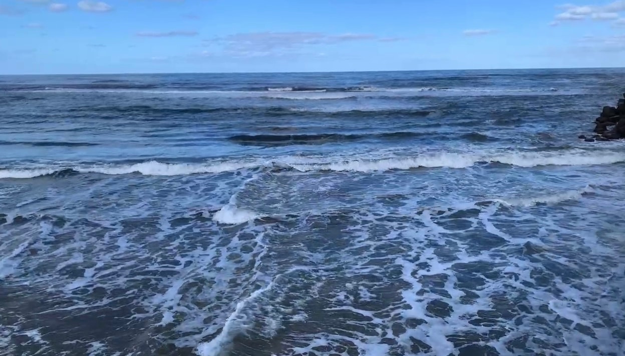 波が打ち寄せる海岸の広がる景色