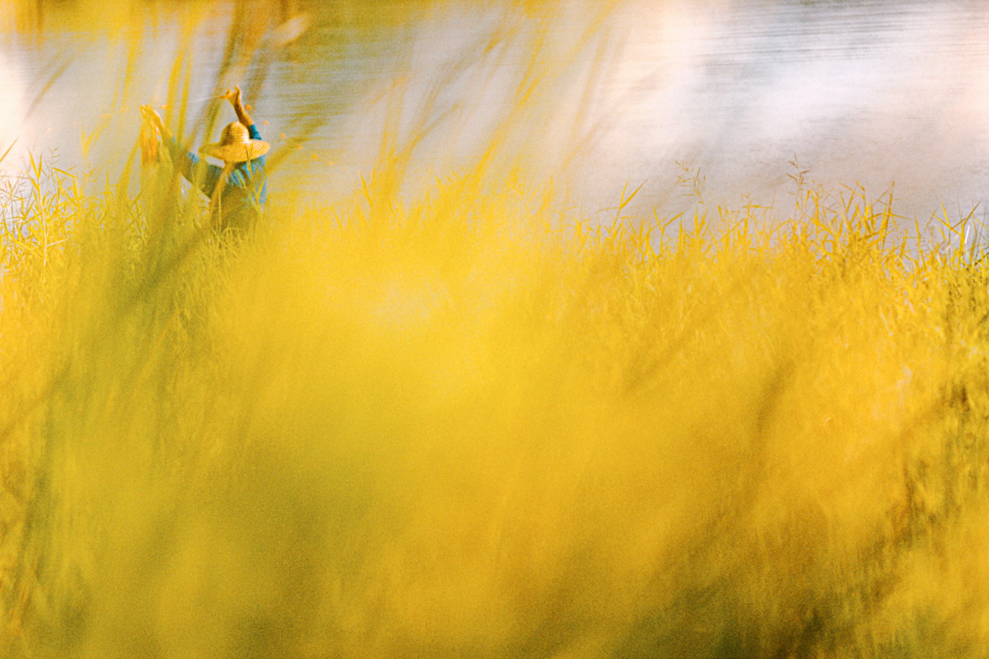 photo-fgoX1gLPjFx09PM1F5em-image