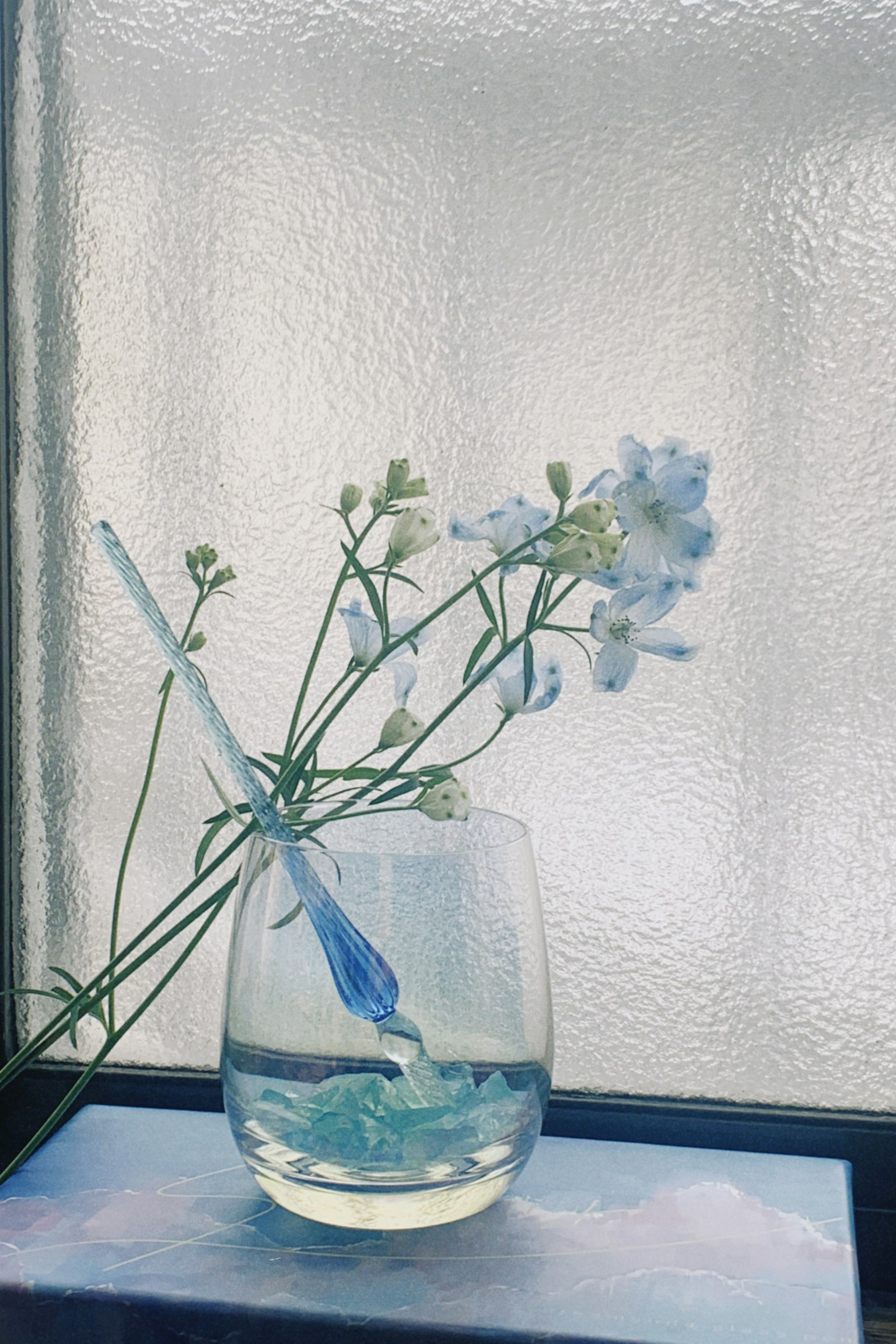 透明玻璃杯中盛著水和精緻的藍色花朵，藝術性地排列
