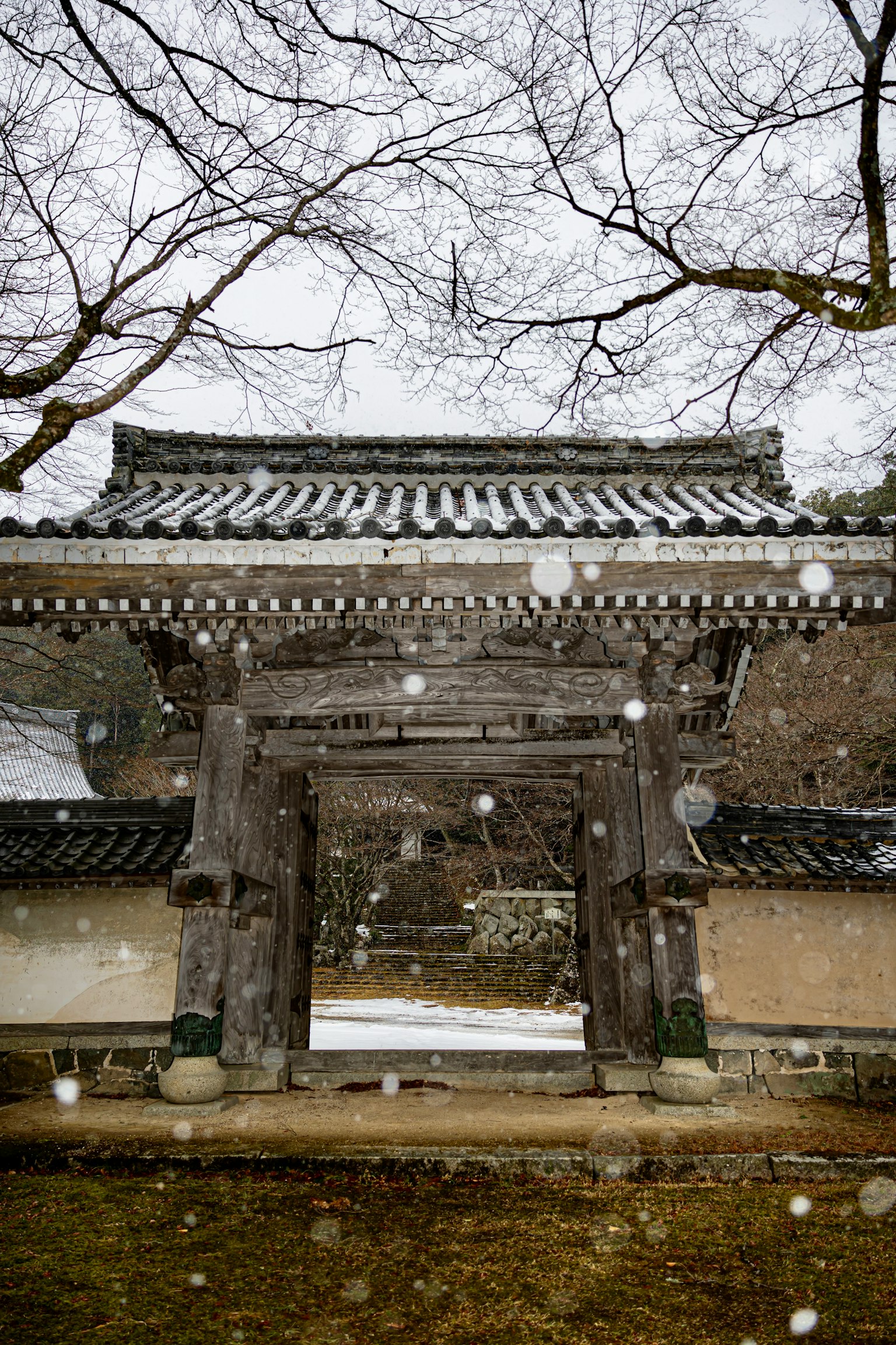 Puerta japonesa tradicional rodeada de nieve y ramas desnudas