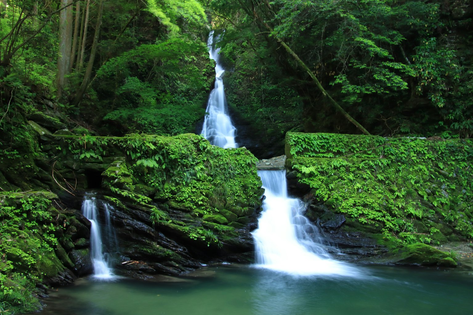 Cascada escénica rodeada de un bosque verde y frondoso con agua fluyendo y formaciones rocosas